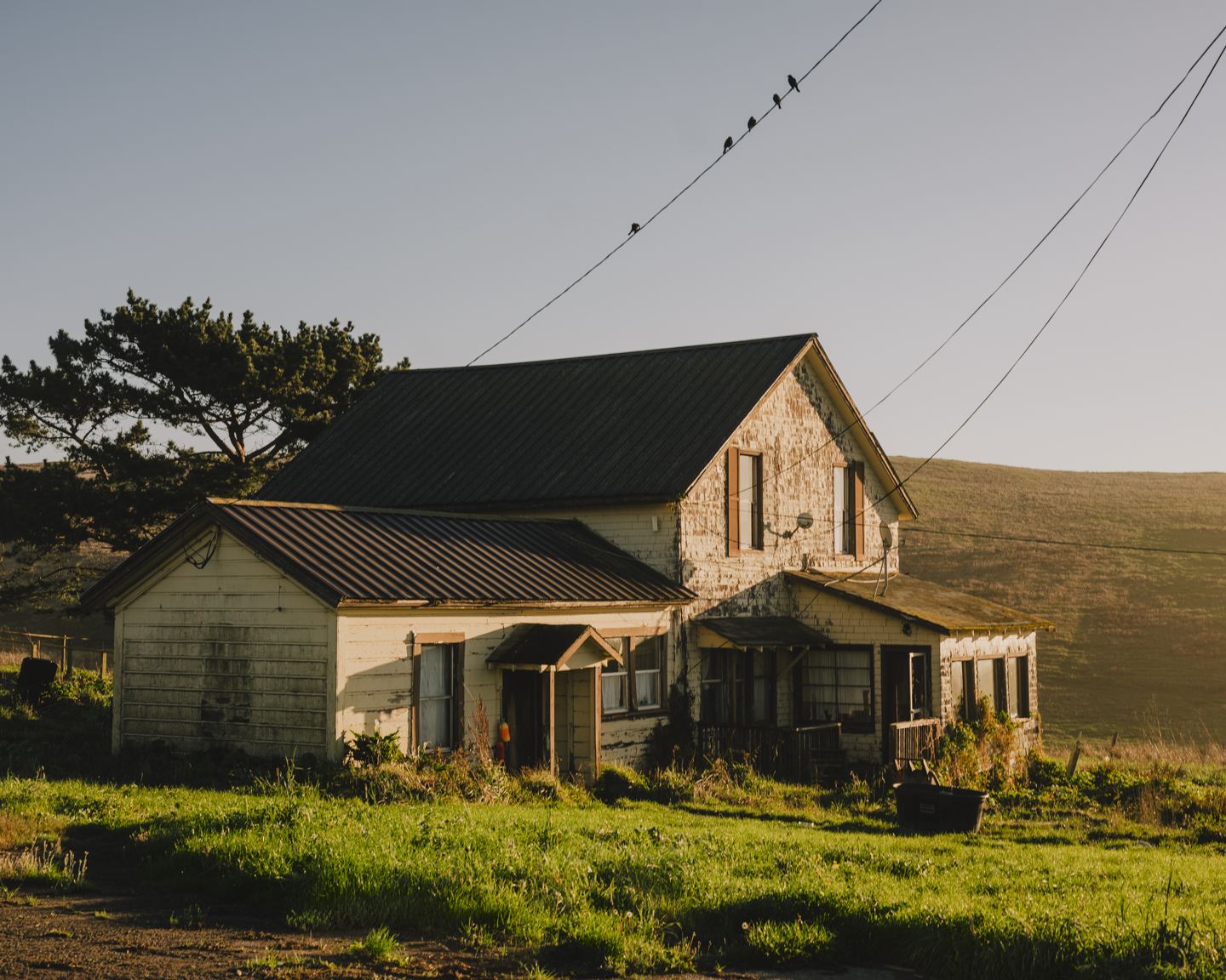 Commission photograph 7