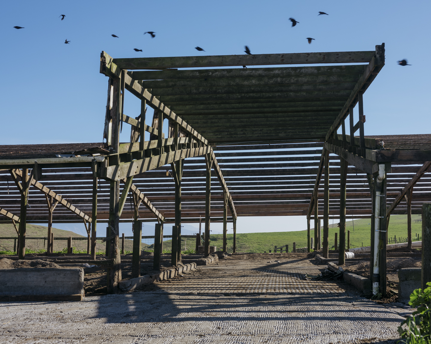 Commission photograph 10