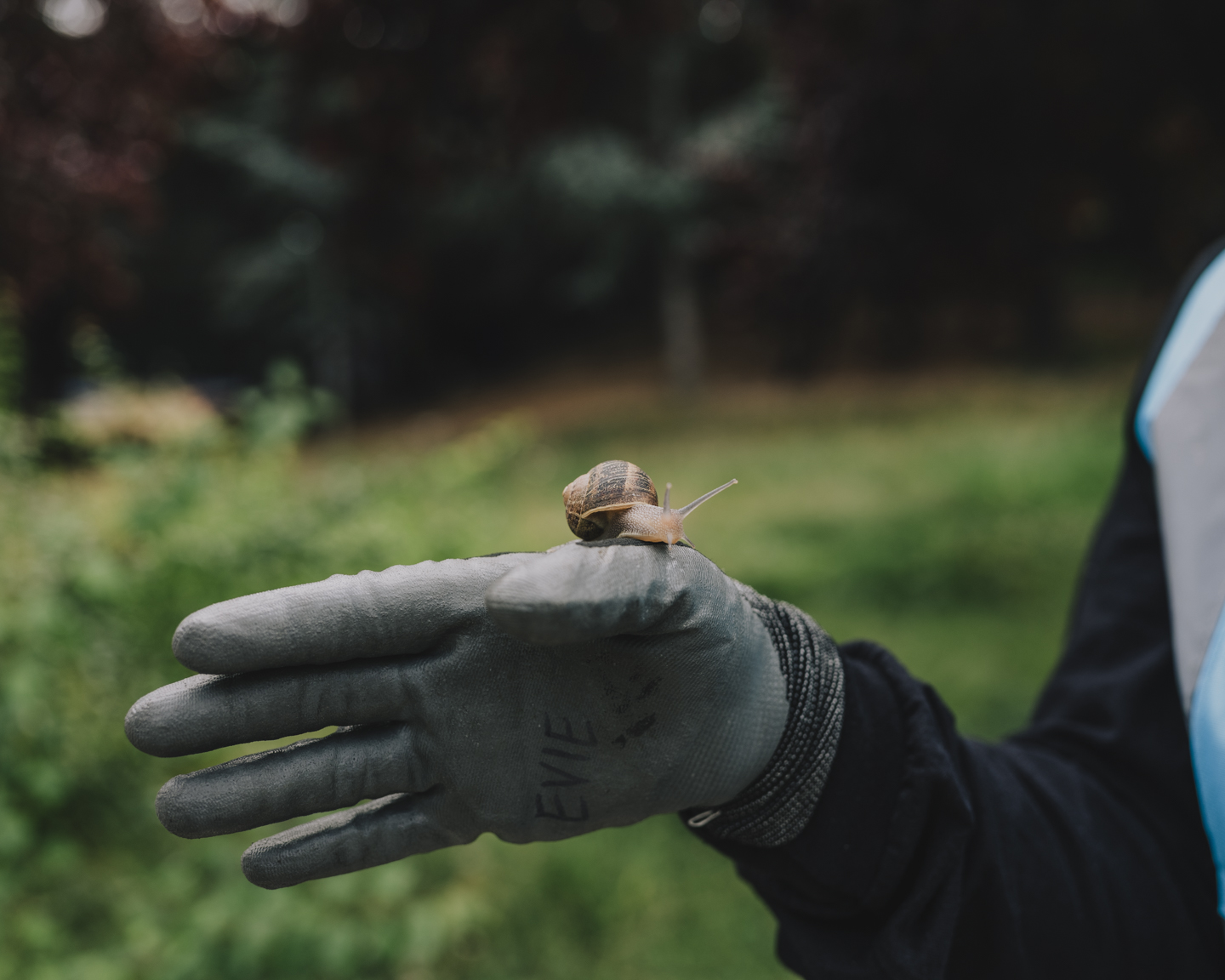 Commission photograph 18