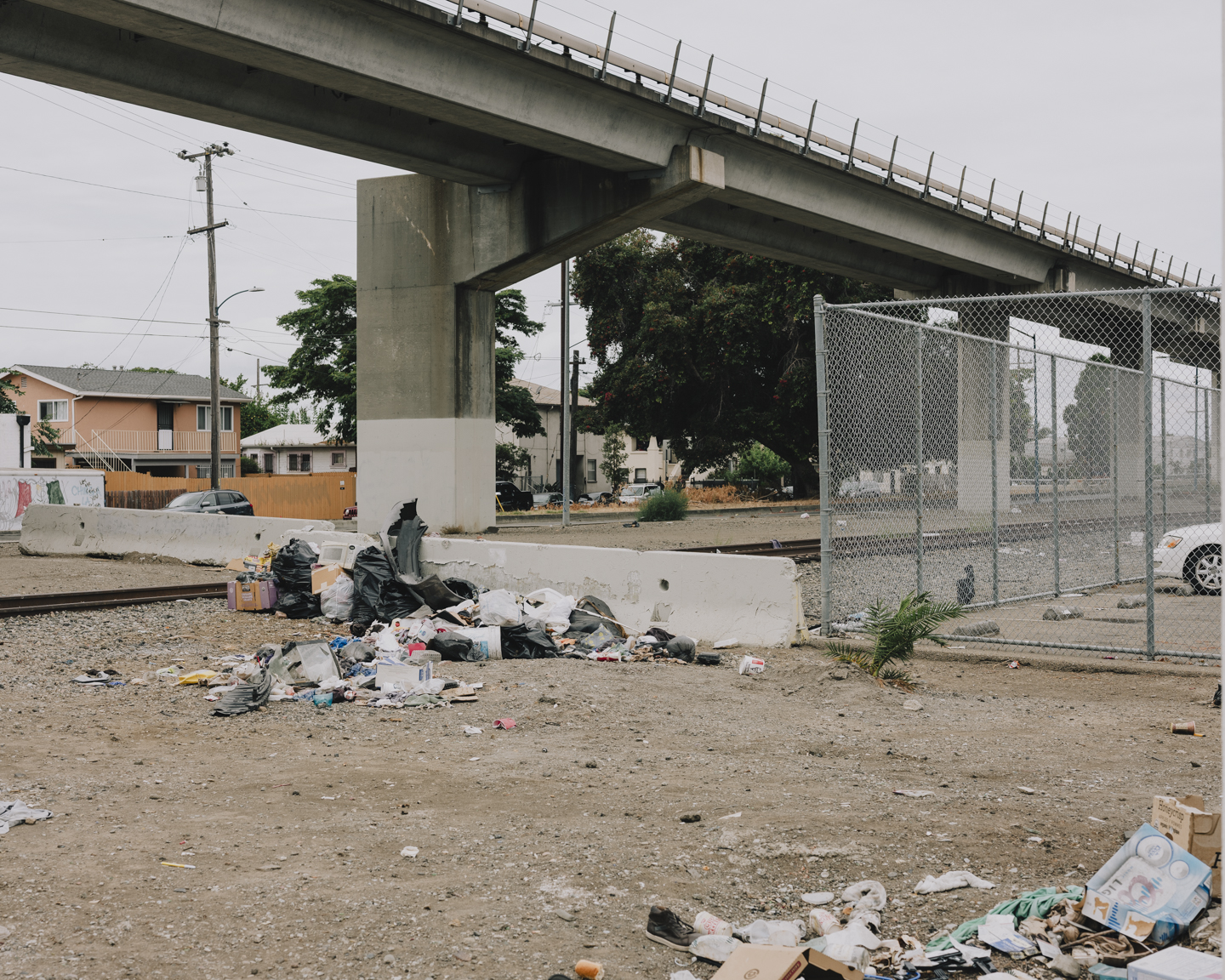 Commission photograph 22