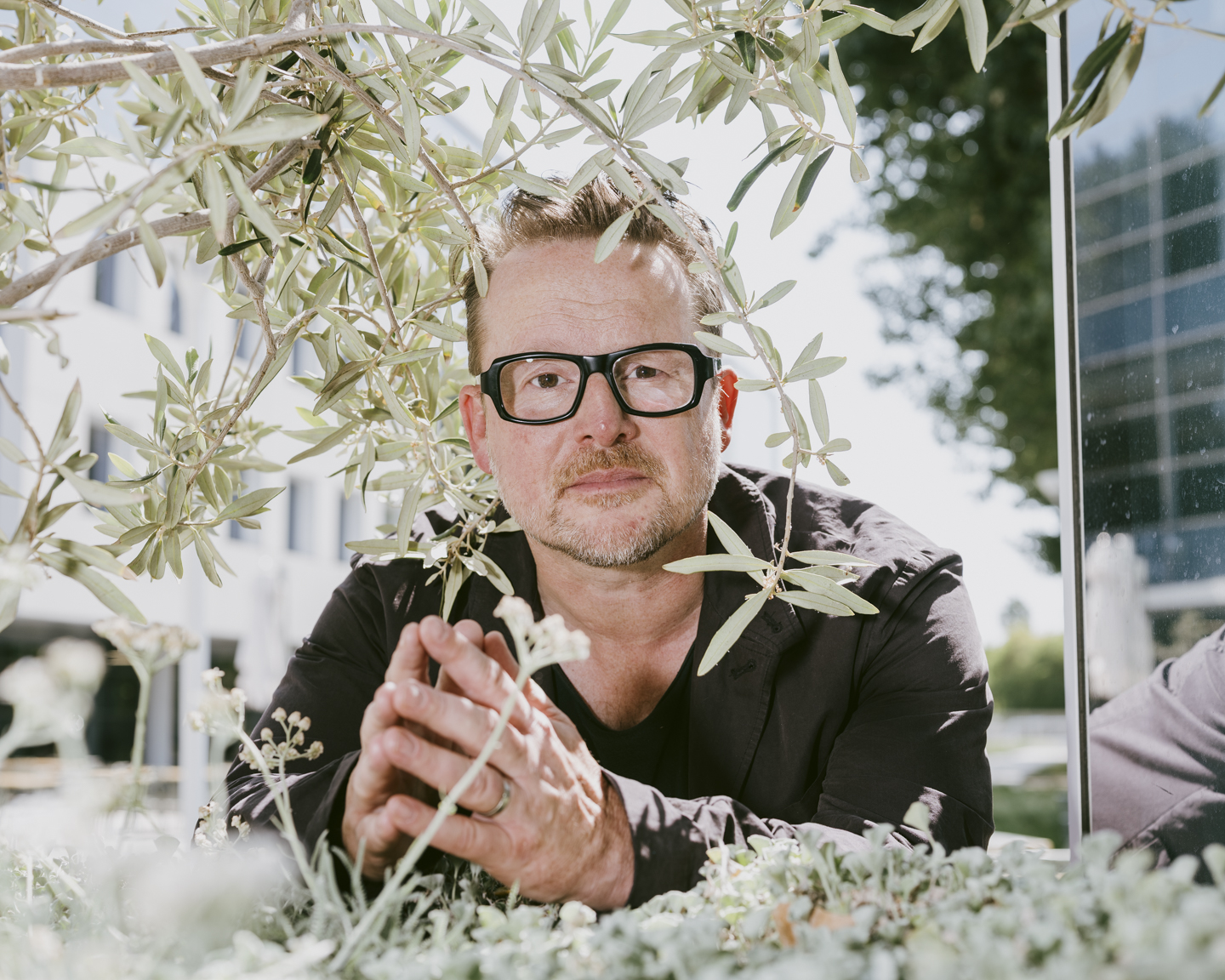 Commission photograph 35