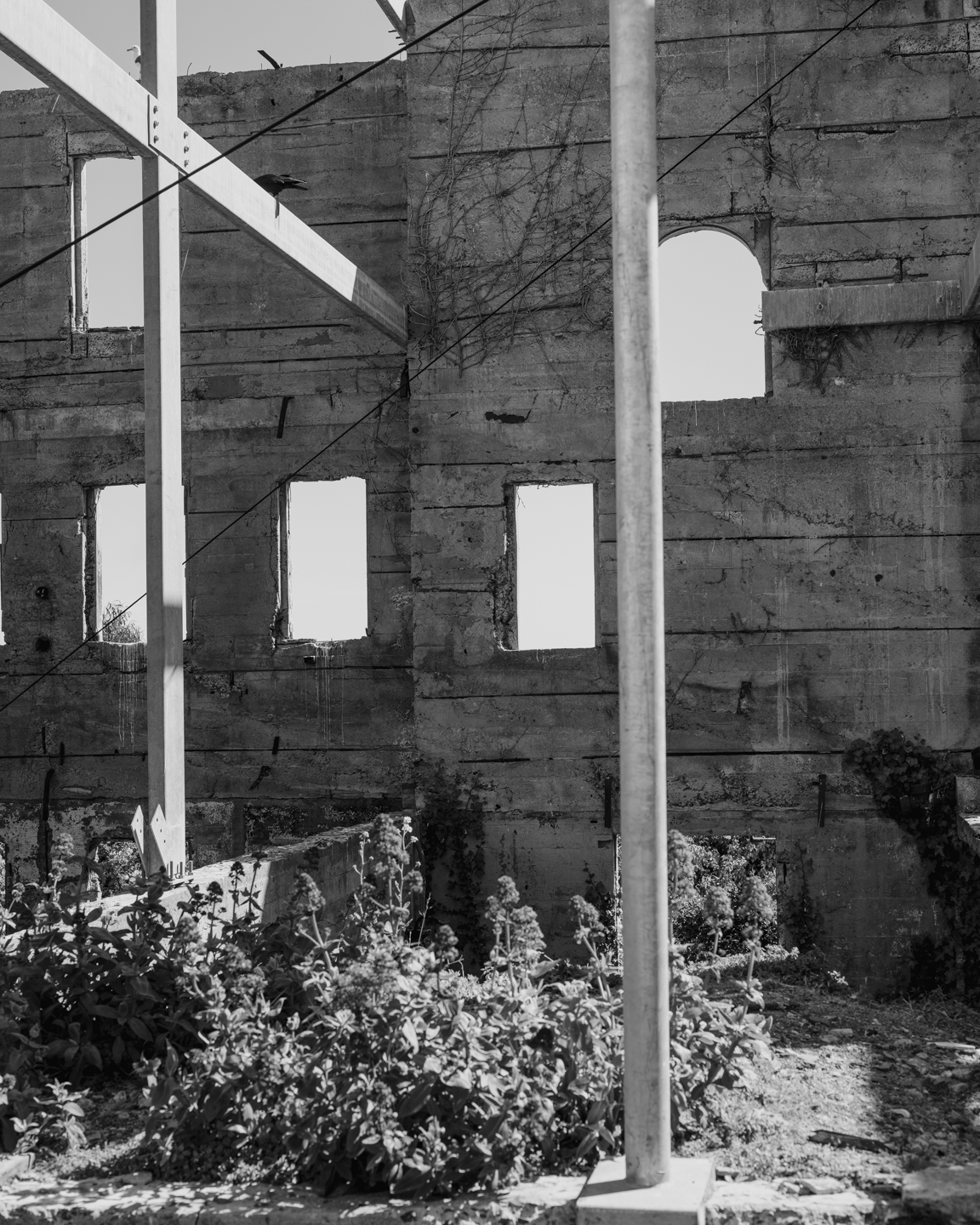 Commission photograph 39