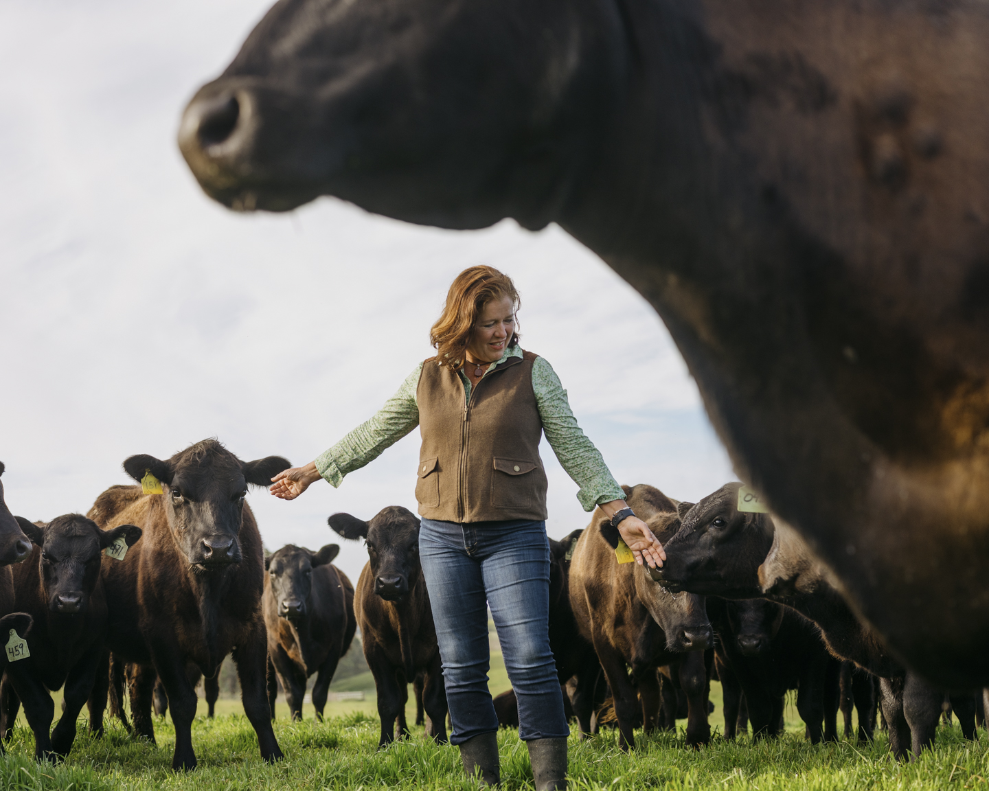 Commission photograph 46