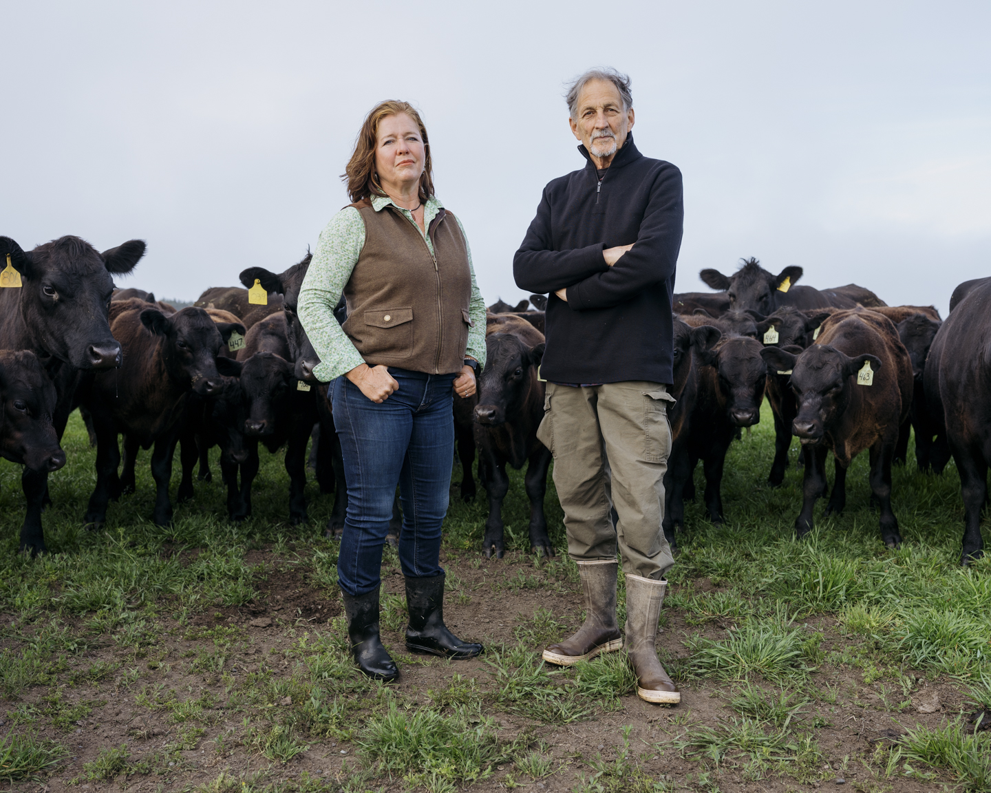 Commission photograph 48