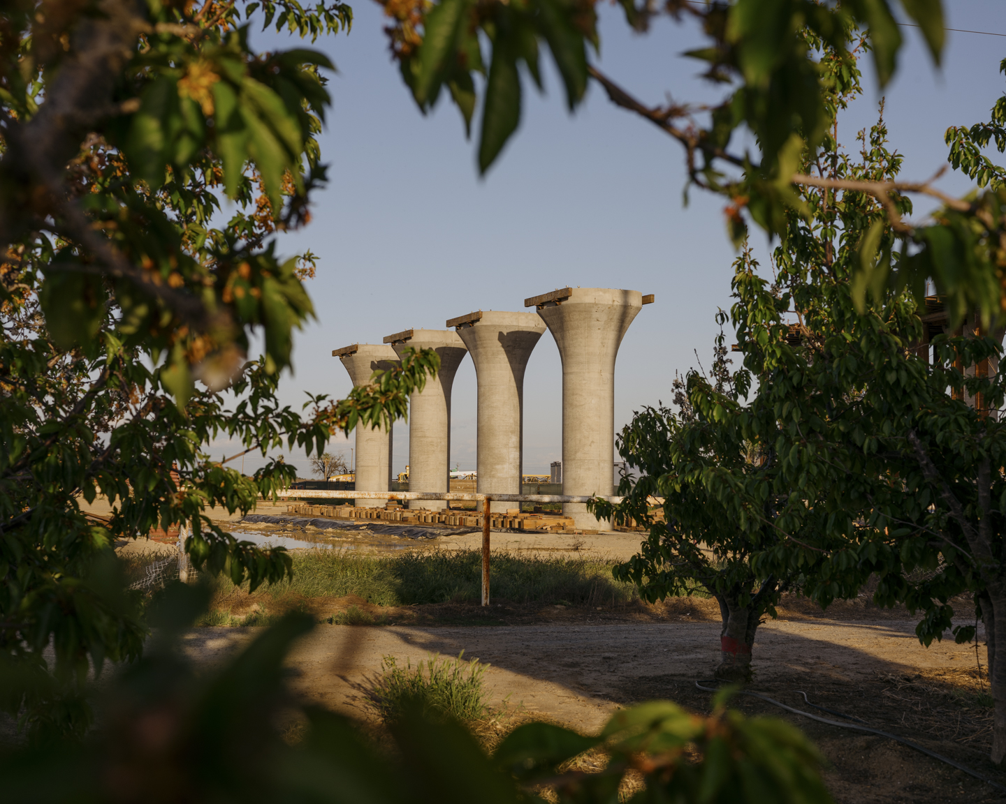 Commission photograph 50