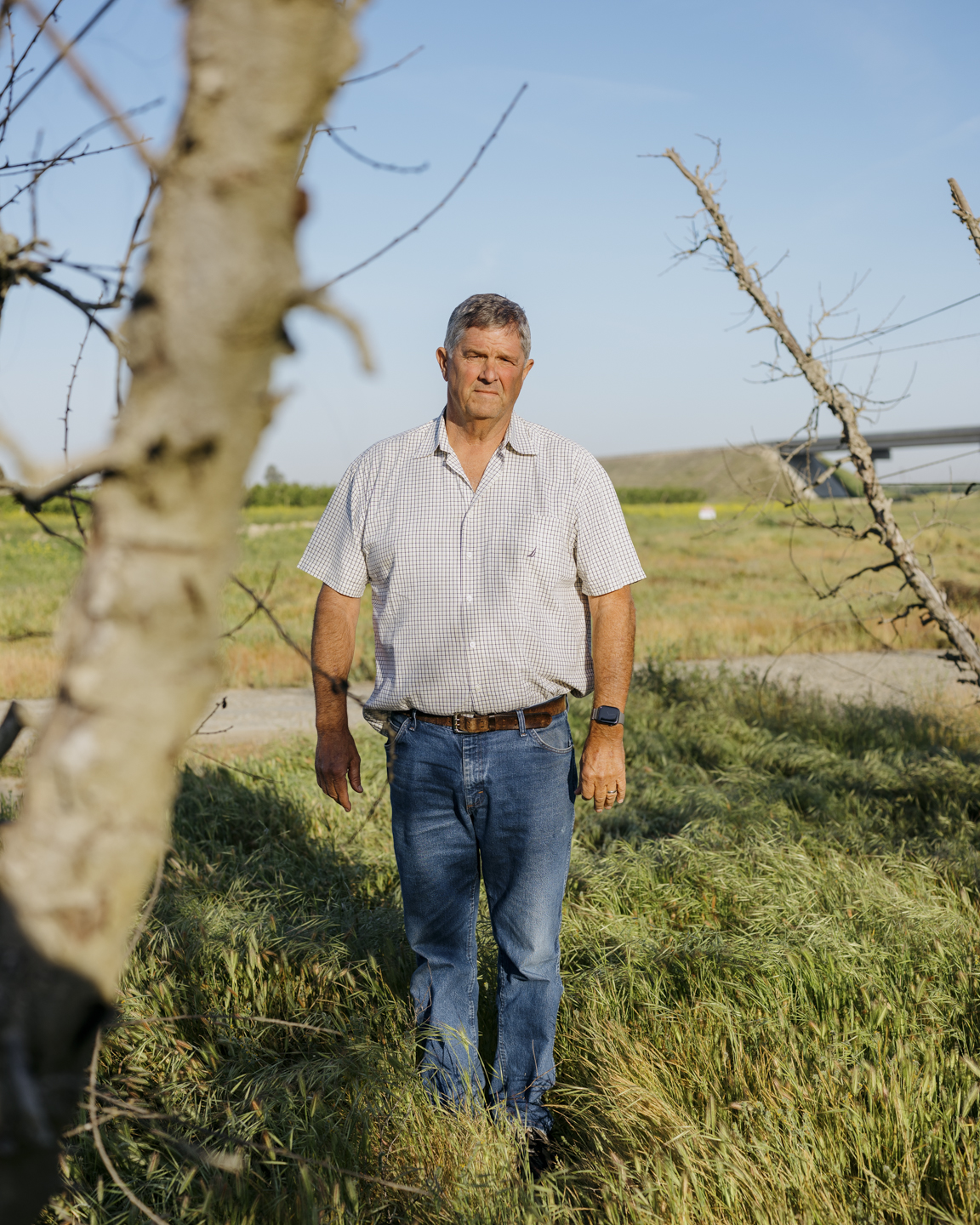 Commission photograph 51