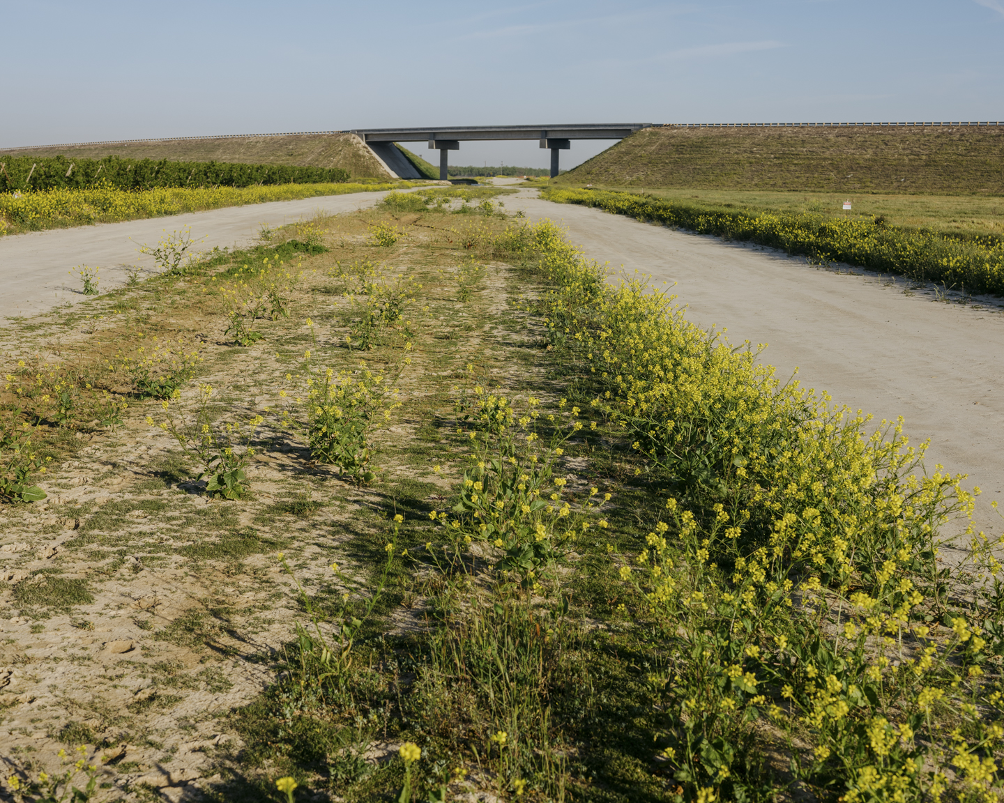 Commission photograph 52