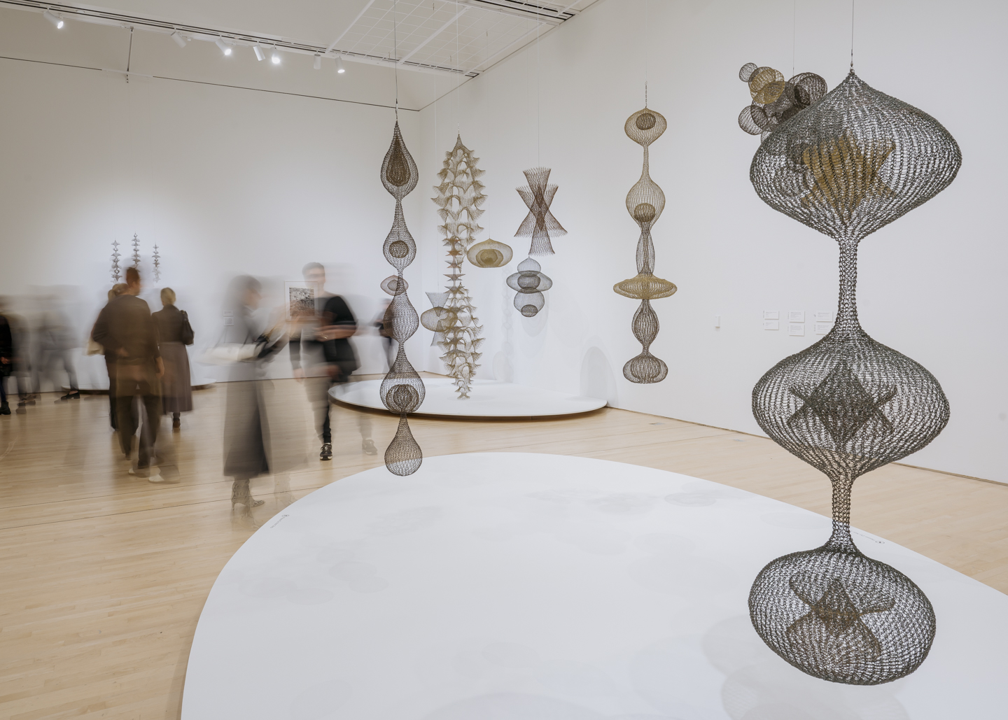 Commission photograph 55