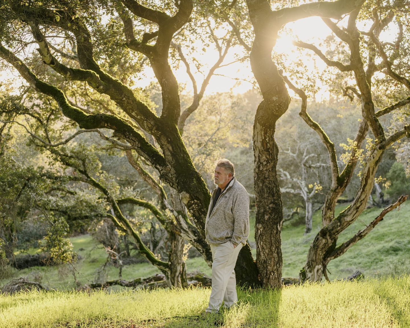 Commission photograph 62