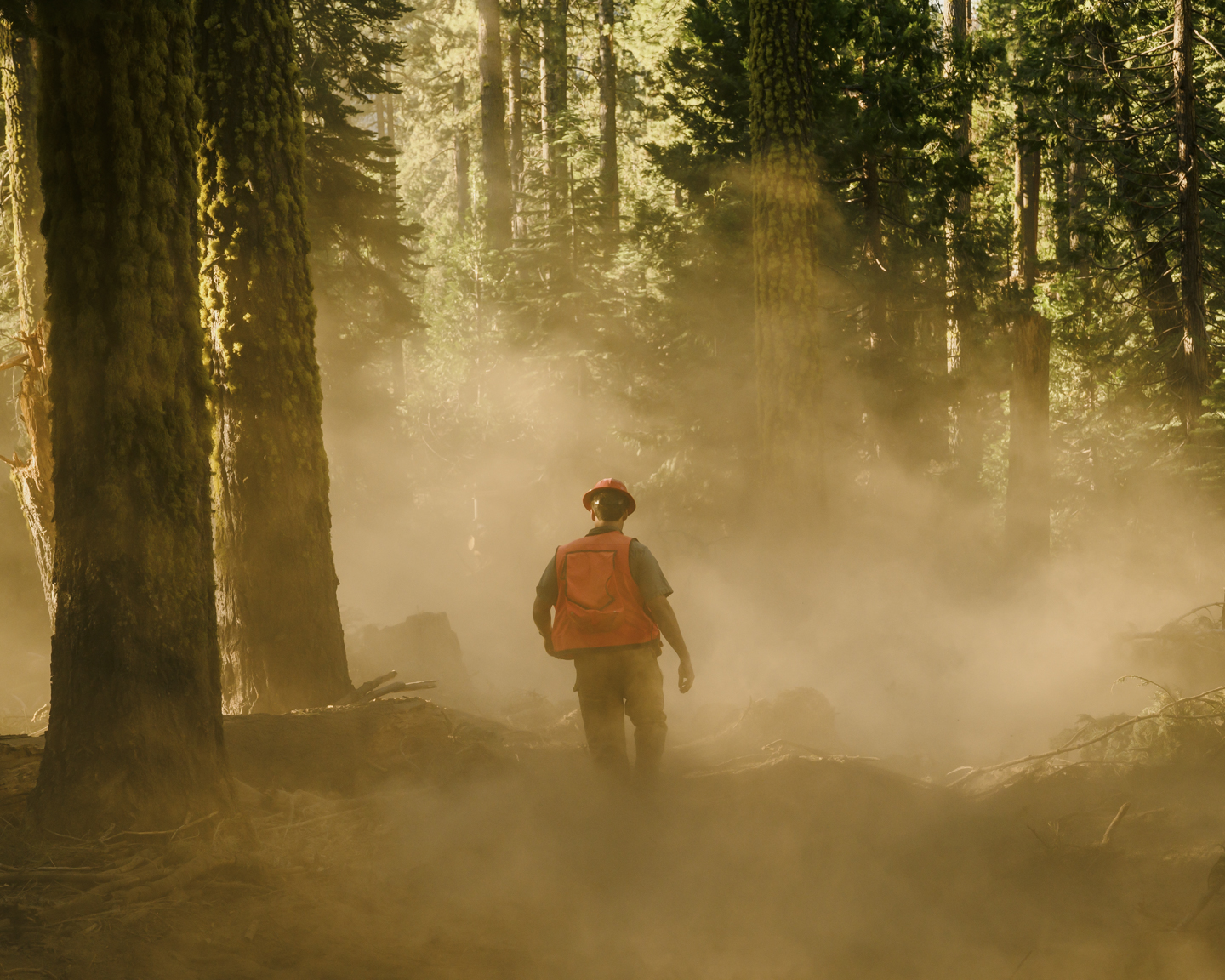 Commission photograph 78