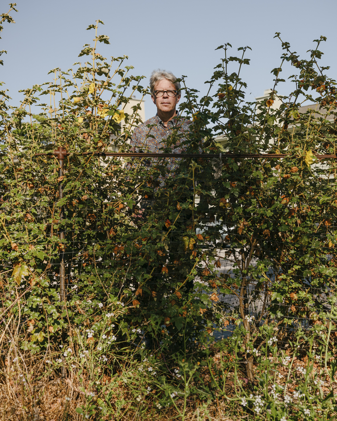 Commission photograph 81