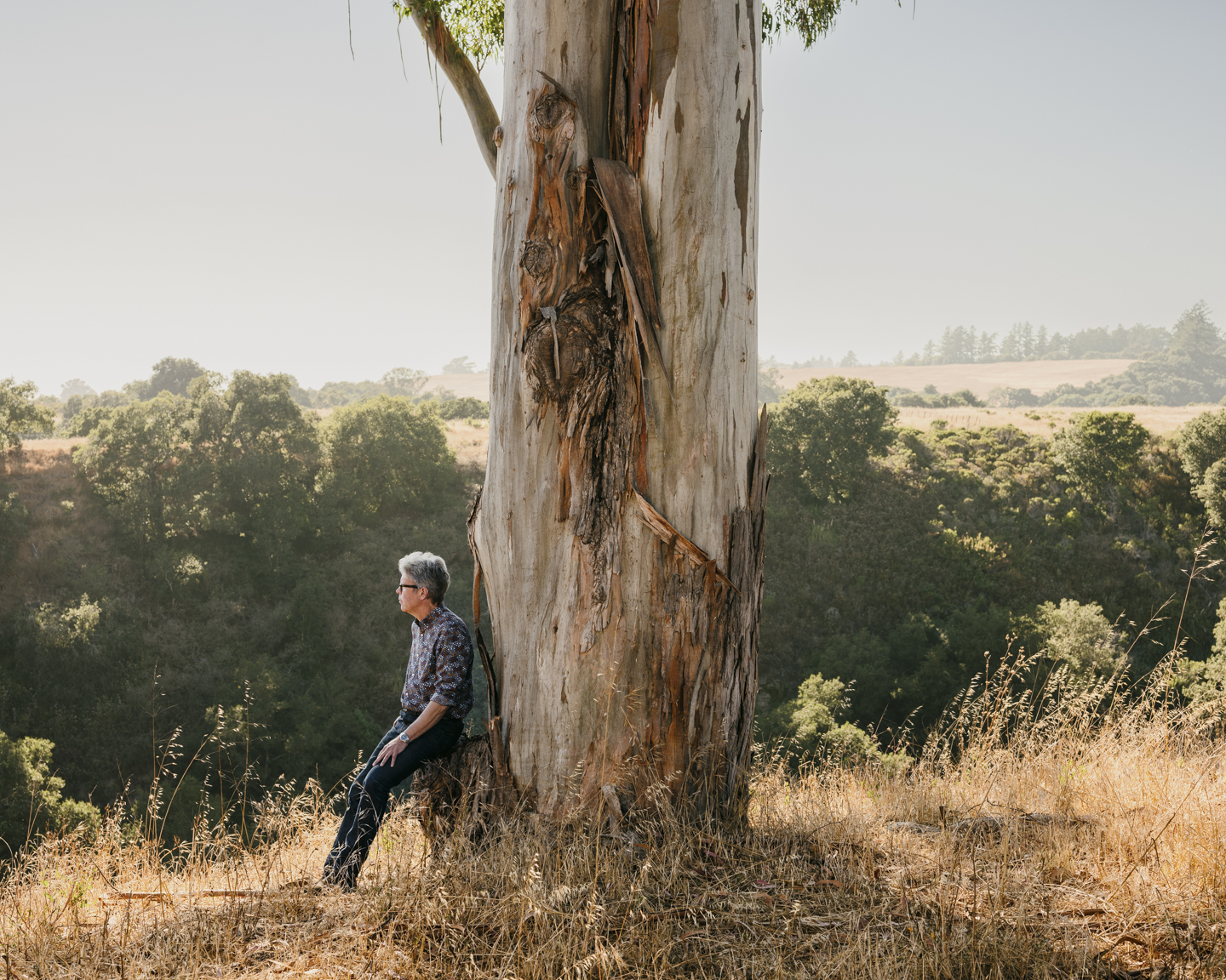 Commission photograph 83