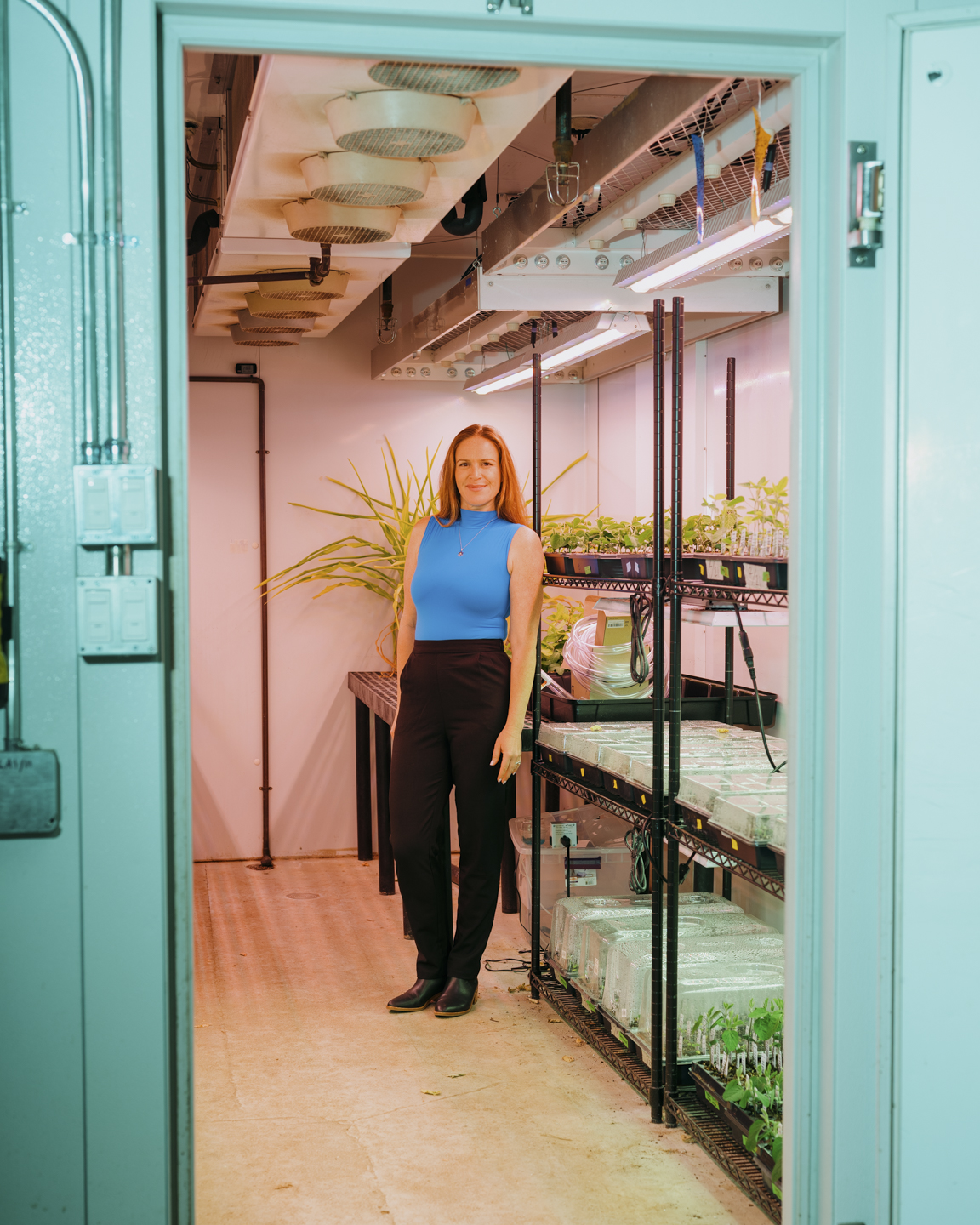 Commission photograph 90