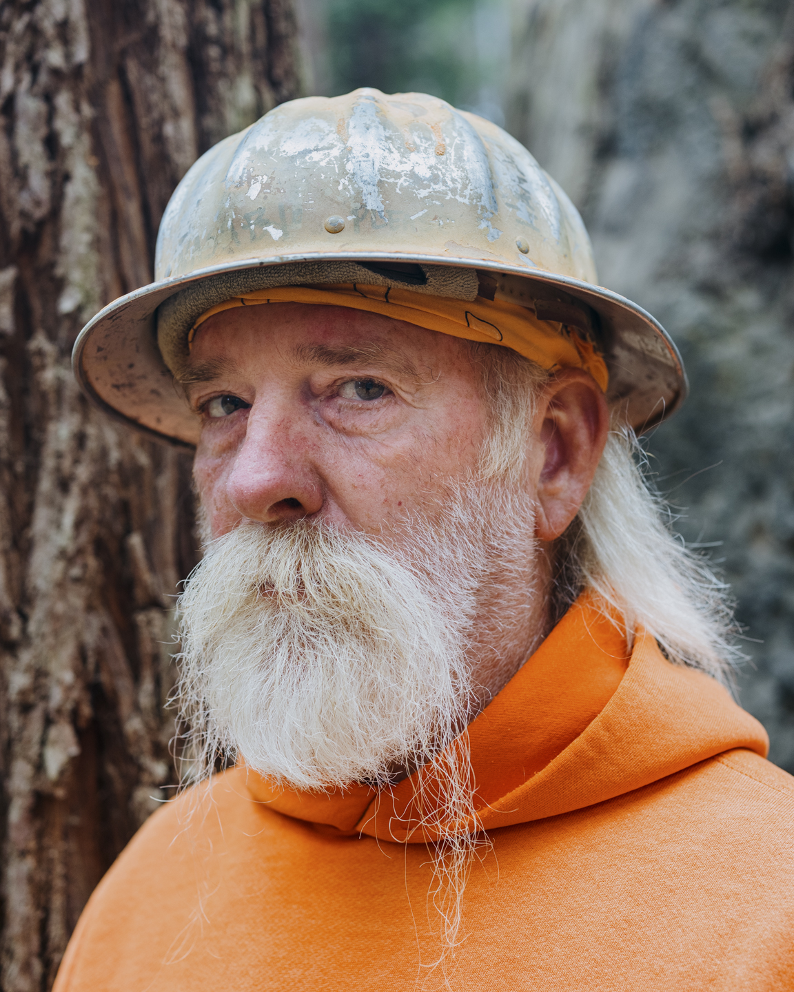 Commission photograph 103