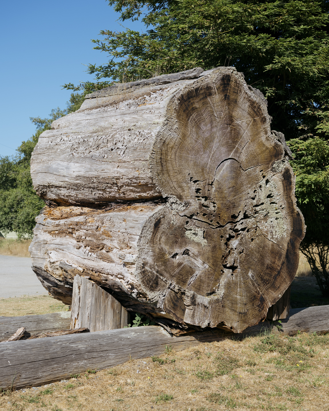 Commission photograph 104