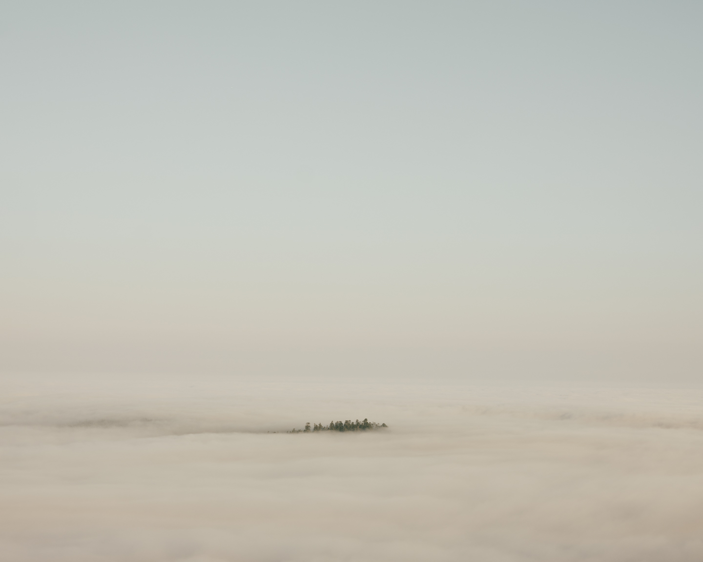 Commission photograph 105