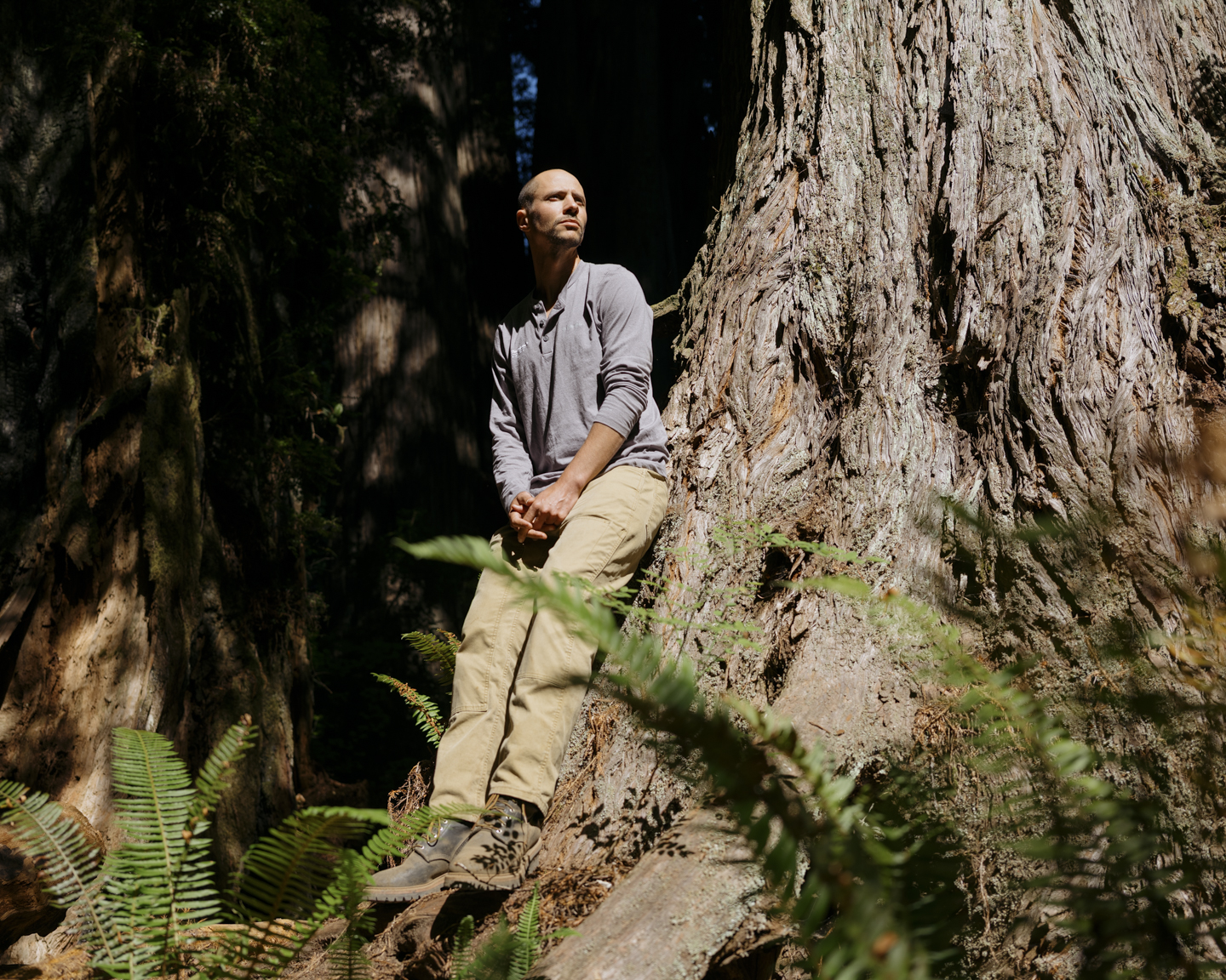 Commission photograph 106