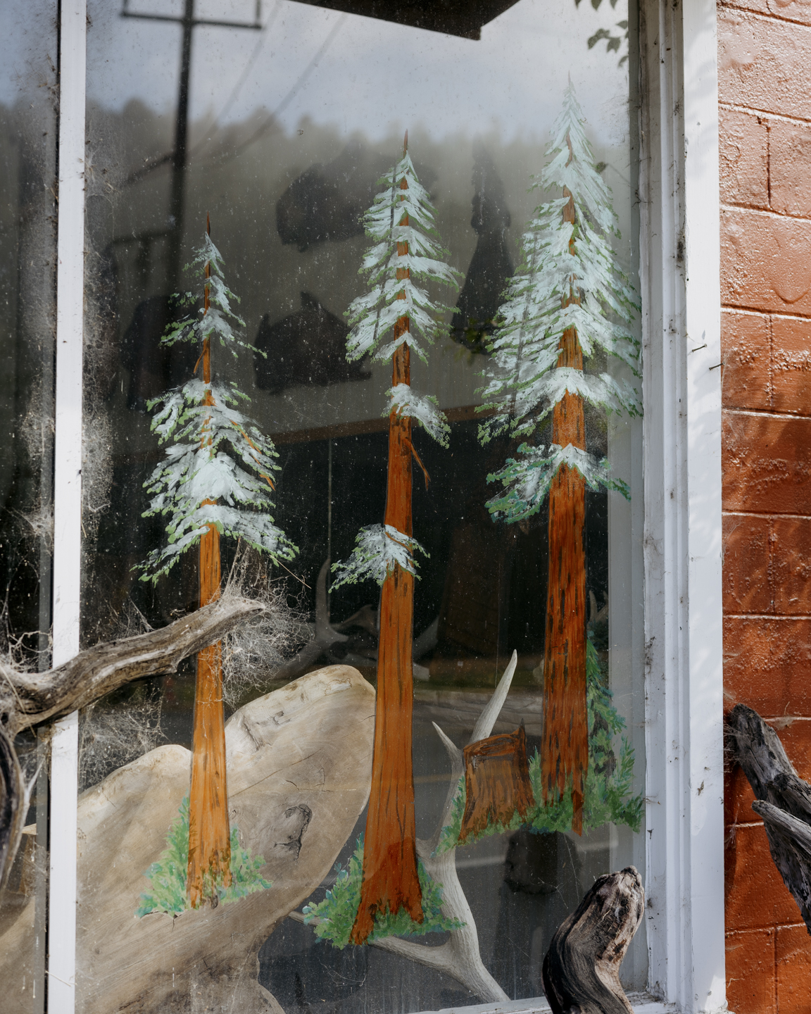 Commission photograph 107