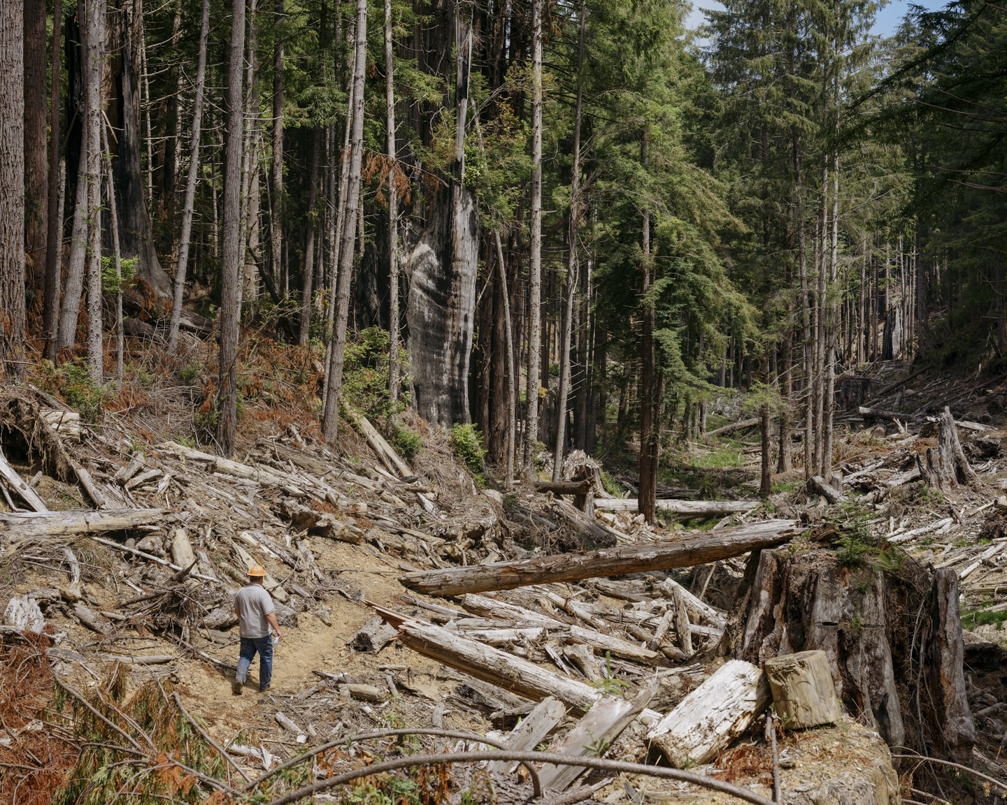 Commission photograph 108