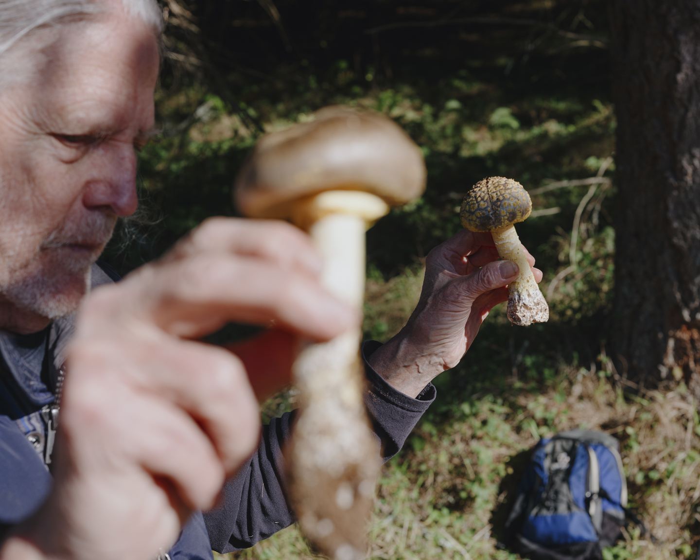 Commission photograph 113