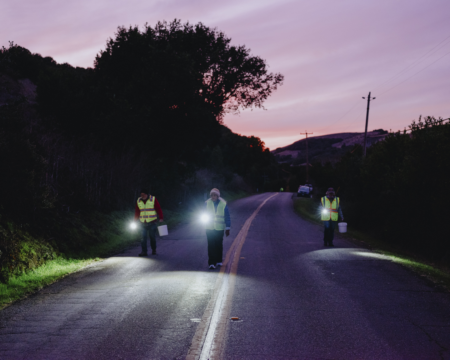 Commission photograph 115