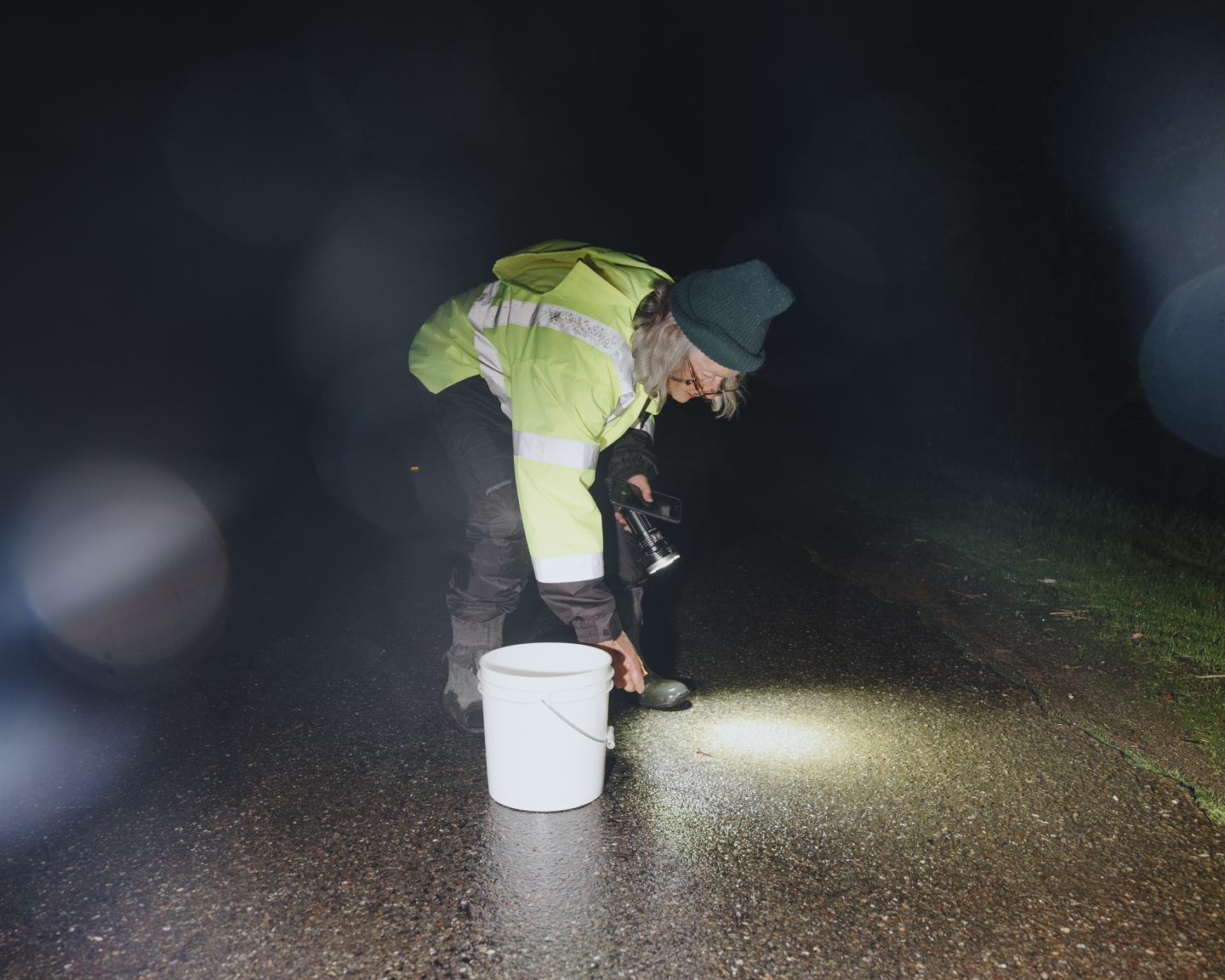 Commission photograph 117