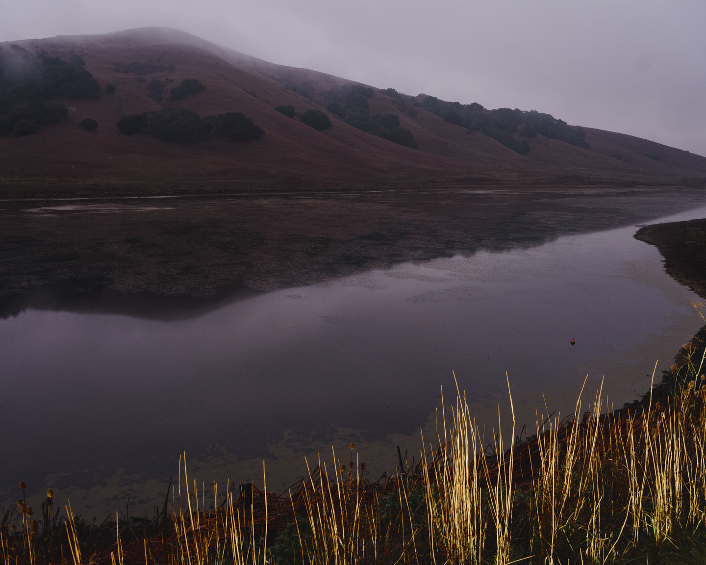 Commission photograph 119