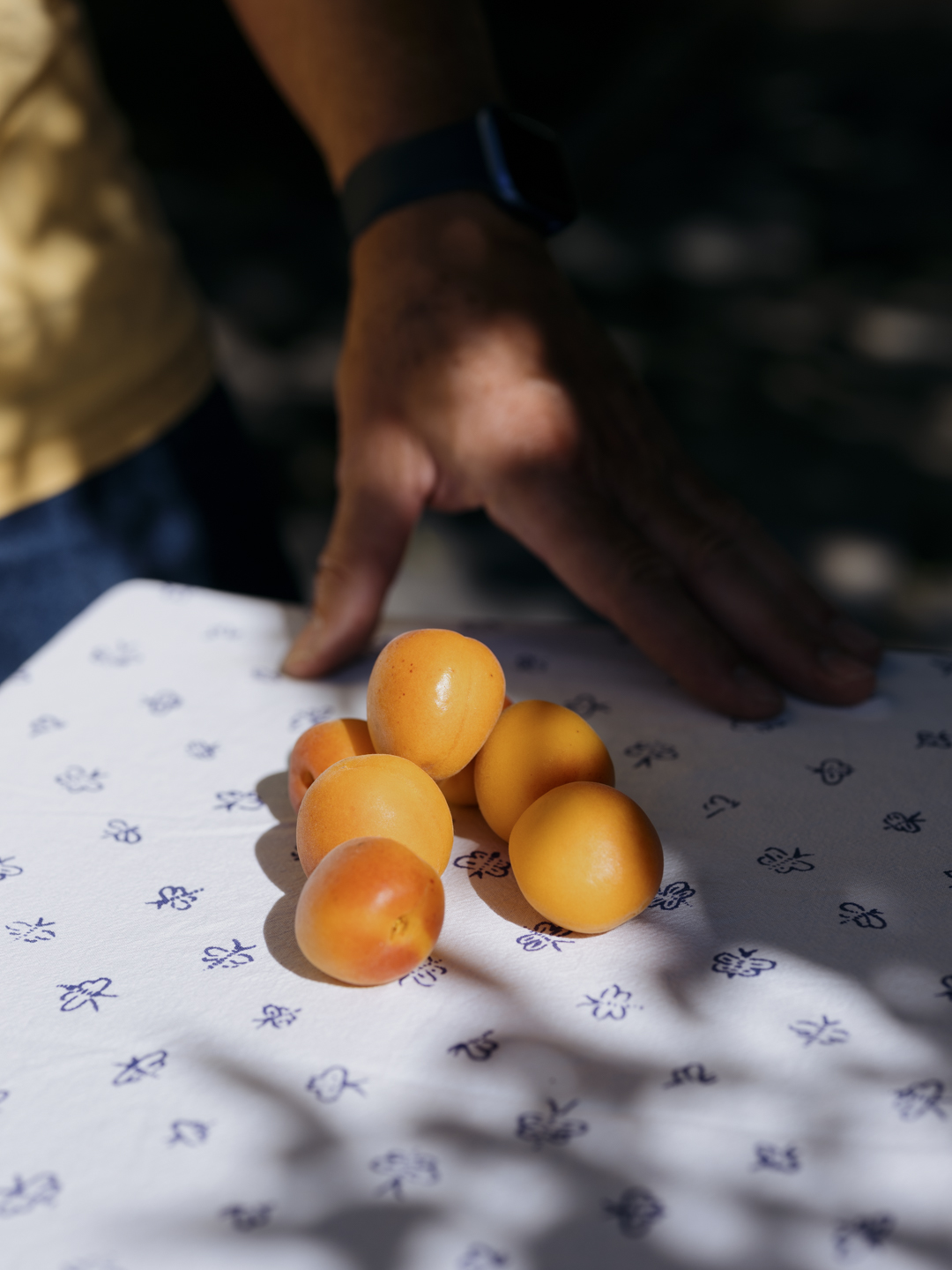 Commission photograph 121