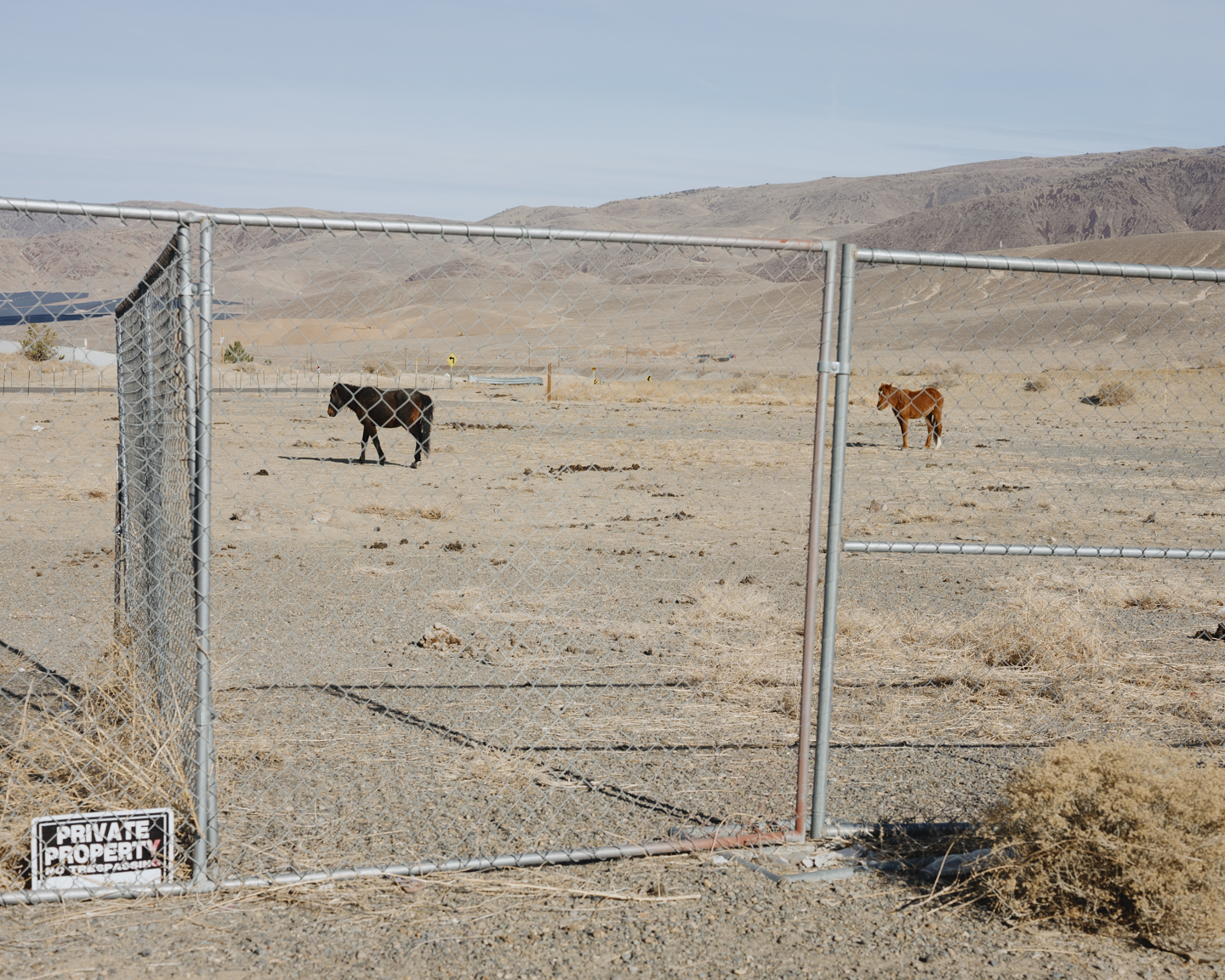 Commission photograph 128