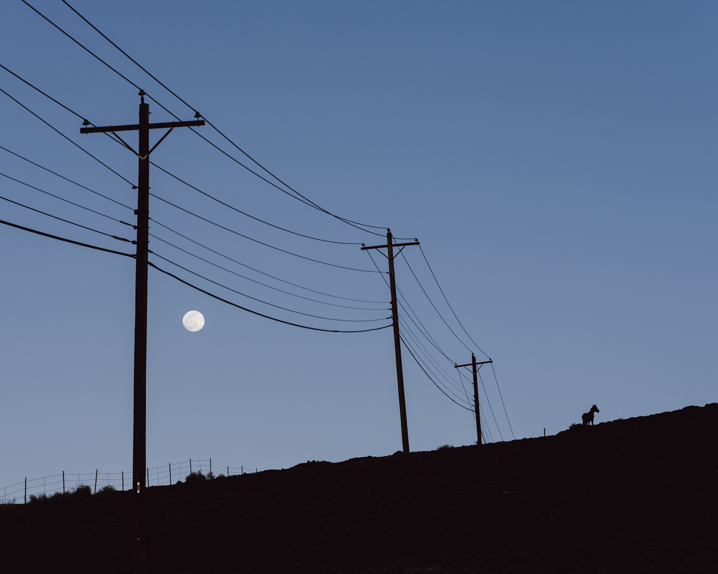 Commission photograph 129