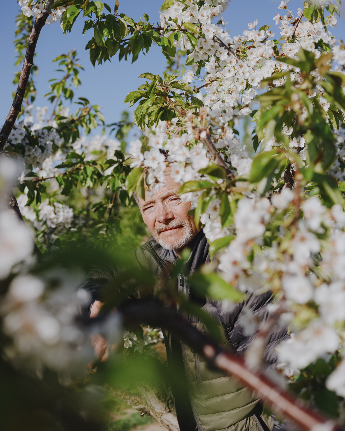 Commission photograph 136