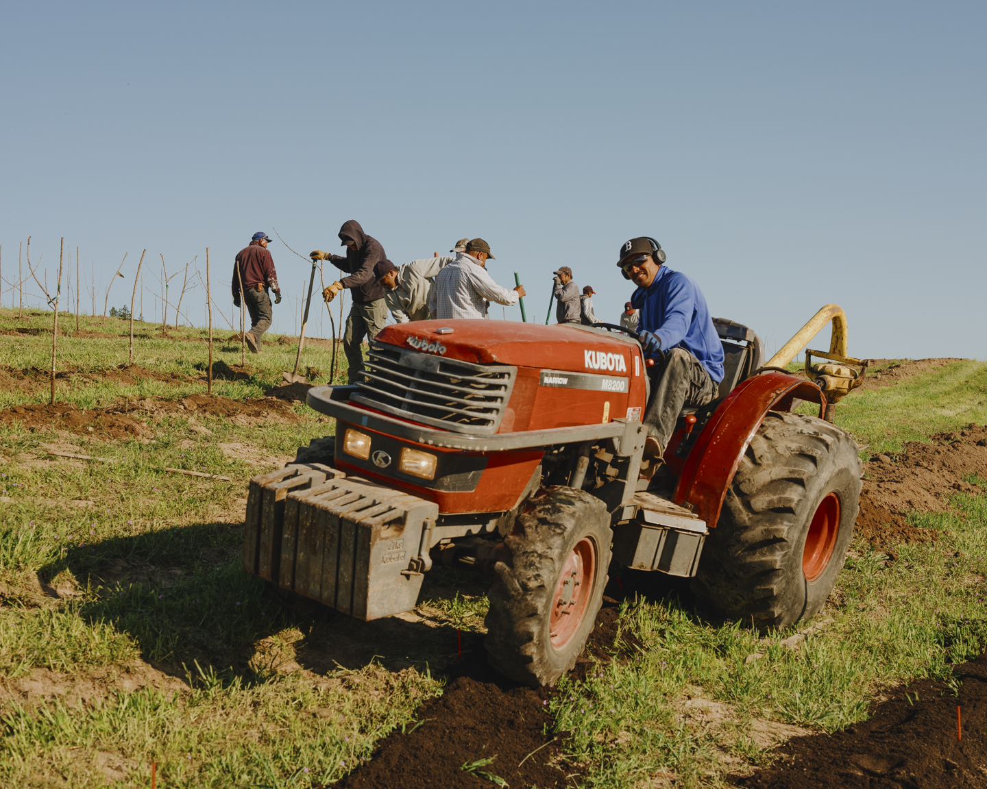 Commission photograph 137