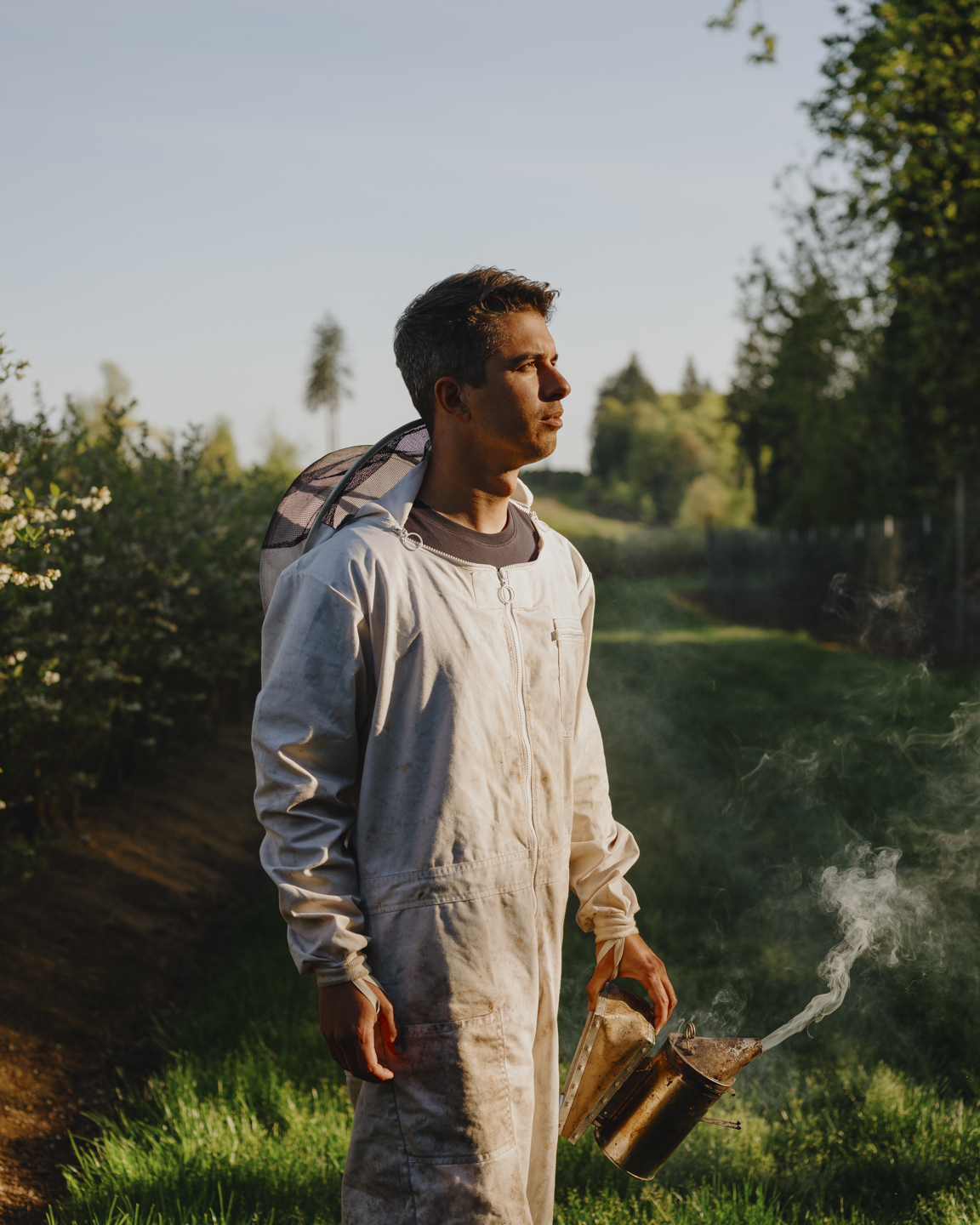 Commission photograph 138