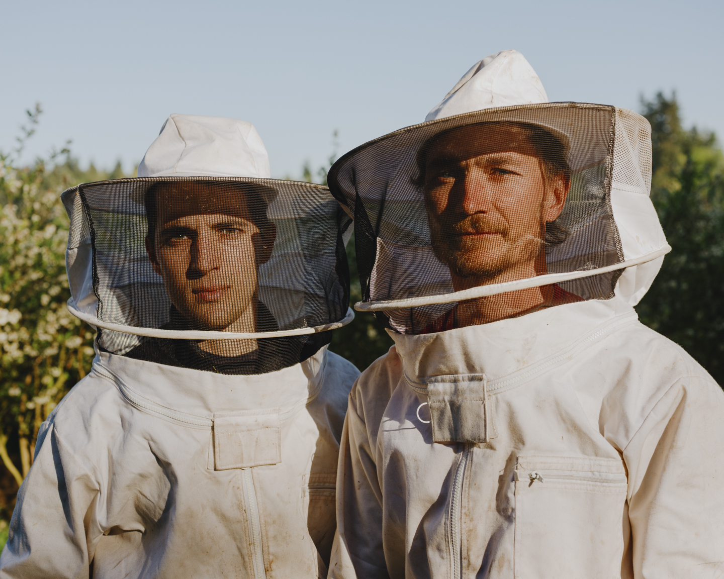 Commission photograph 140