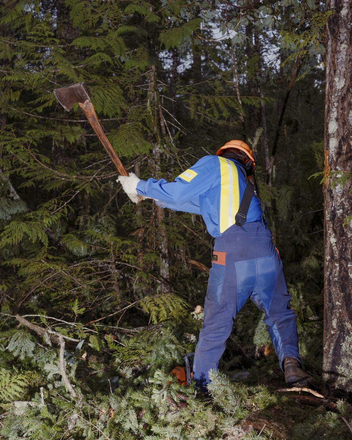 Commission photograph 146