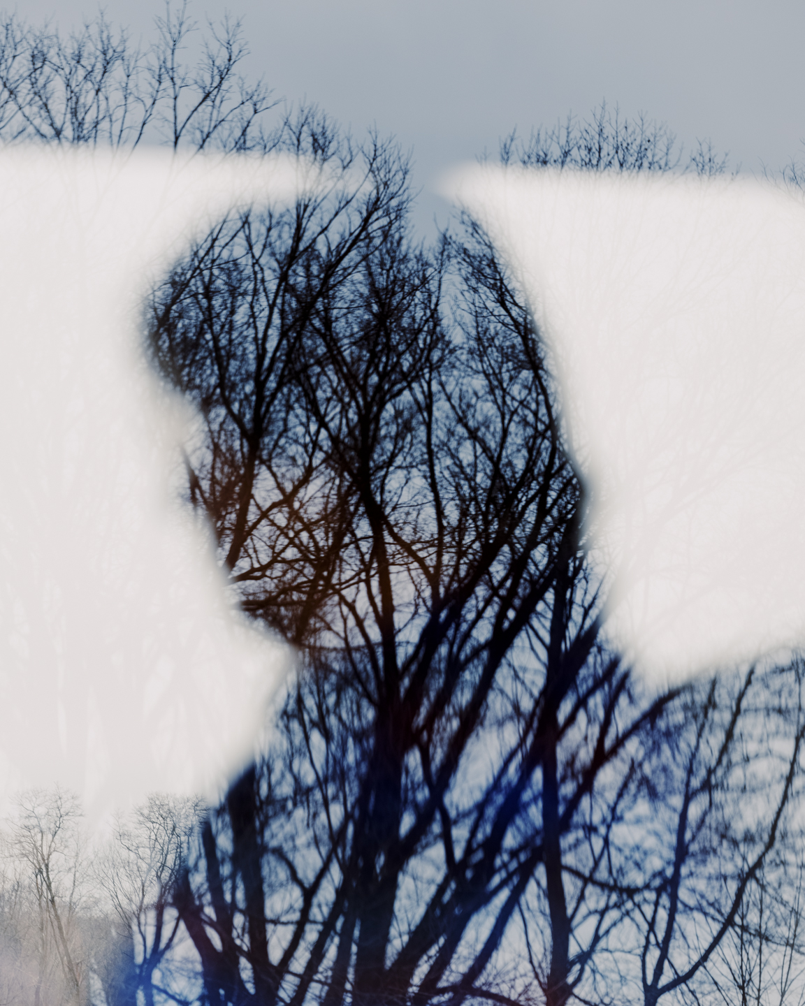 Commission photograph 147