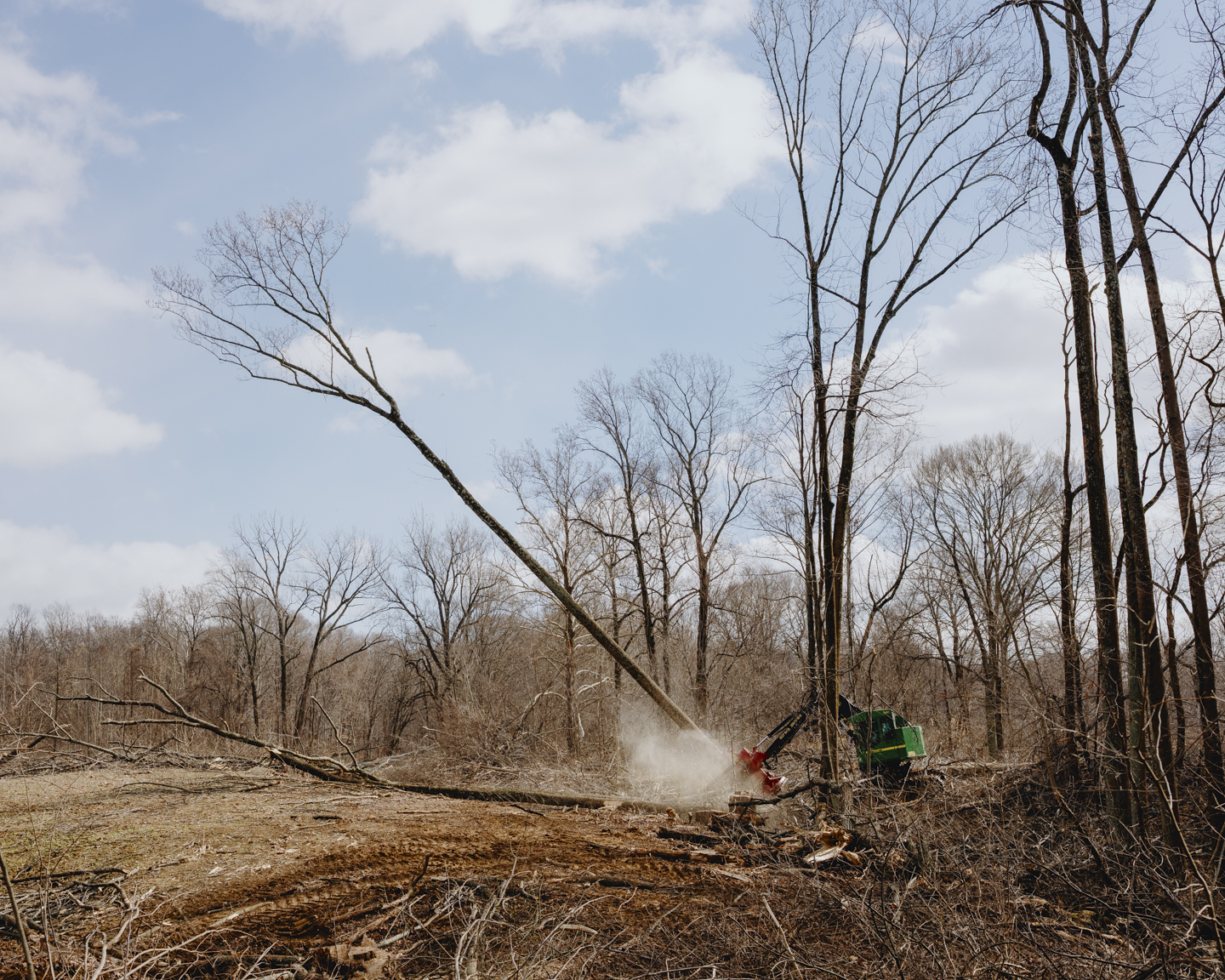 Commission photograph 148