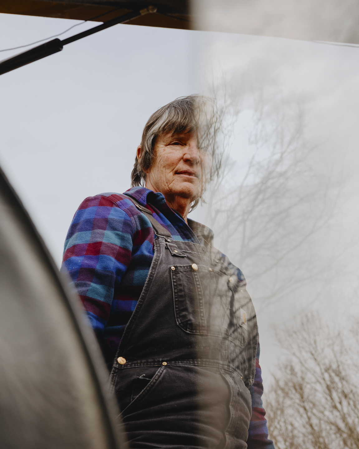 Commission photograph 151