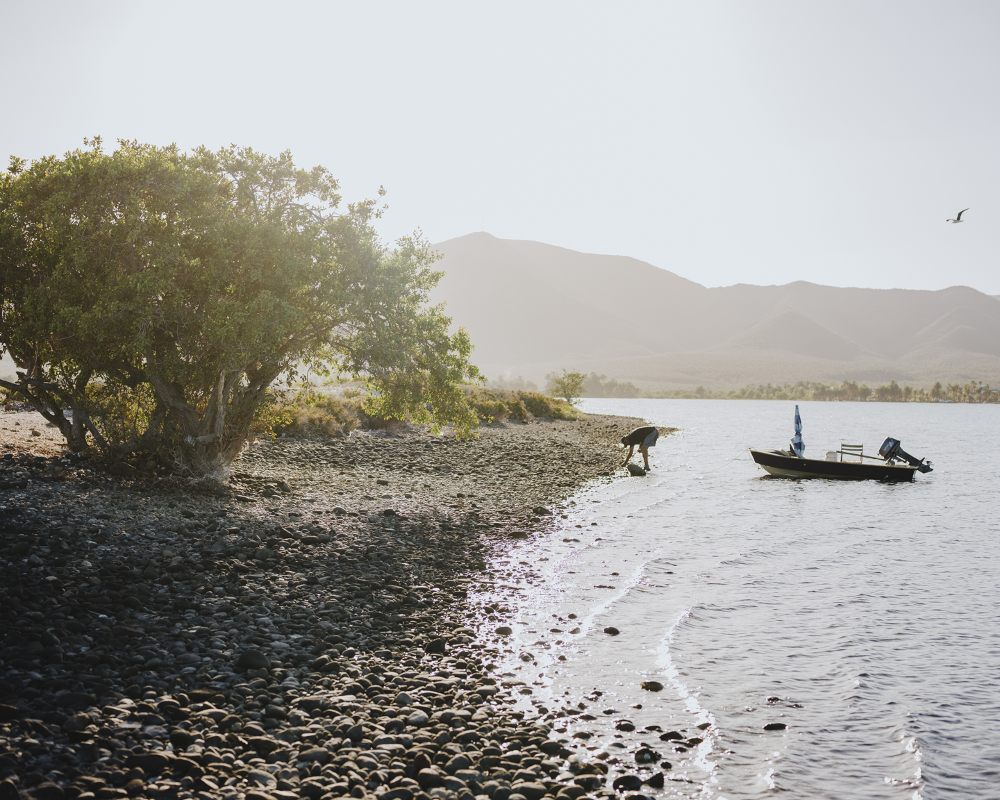 Commission photograph 158