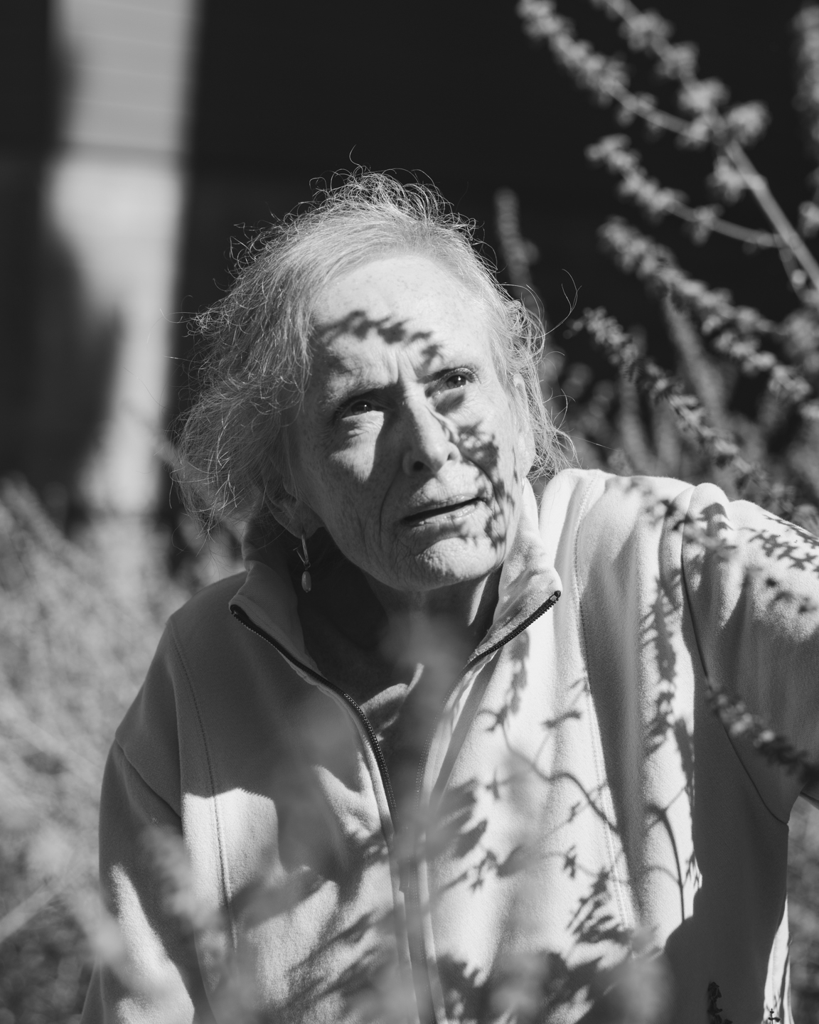 Commission photograph 165