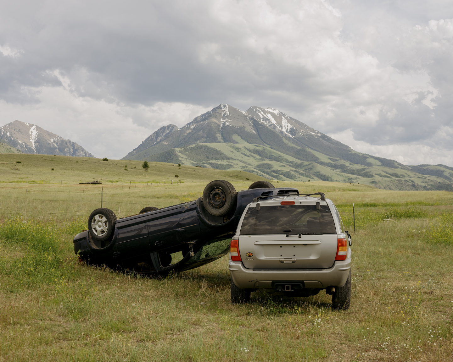 Lost Dog photograph 2