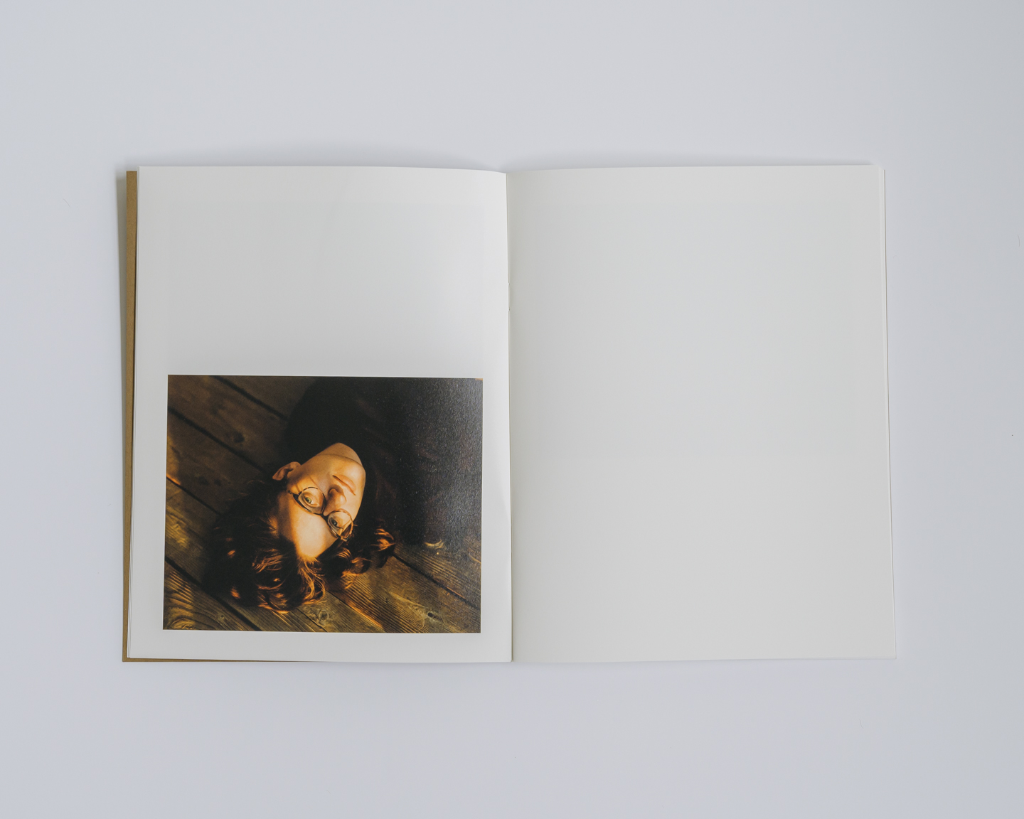 Lost Dog photograph 4