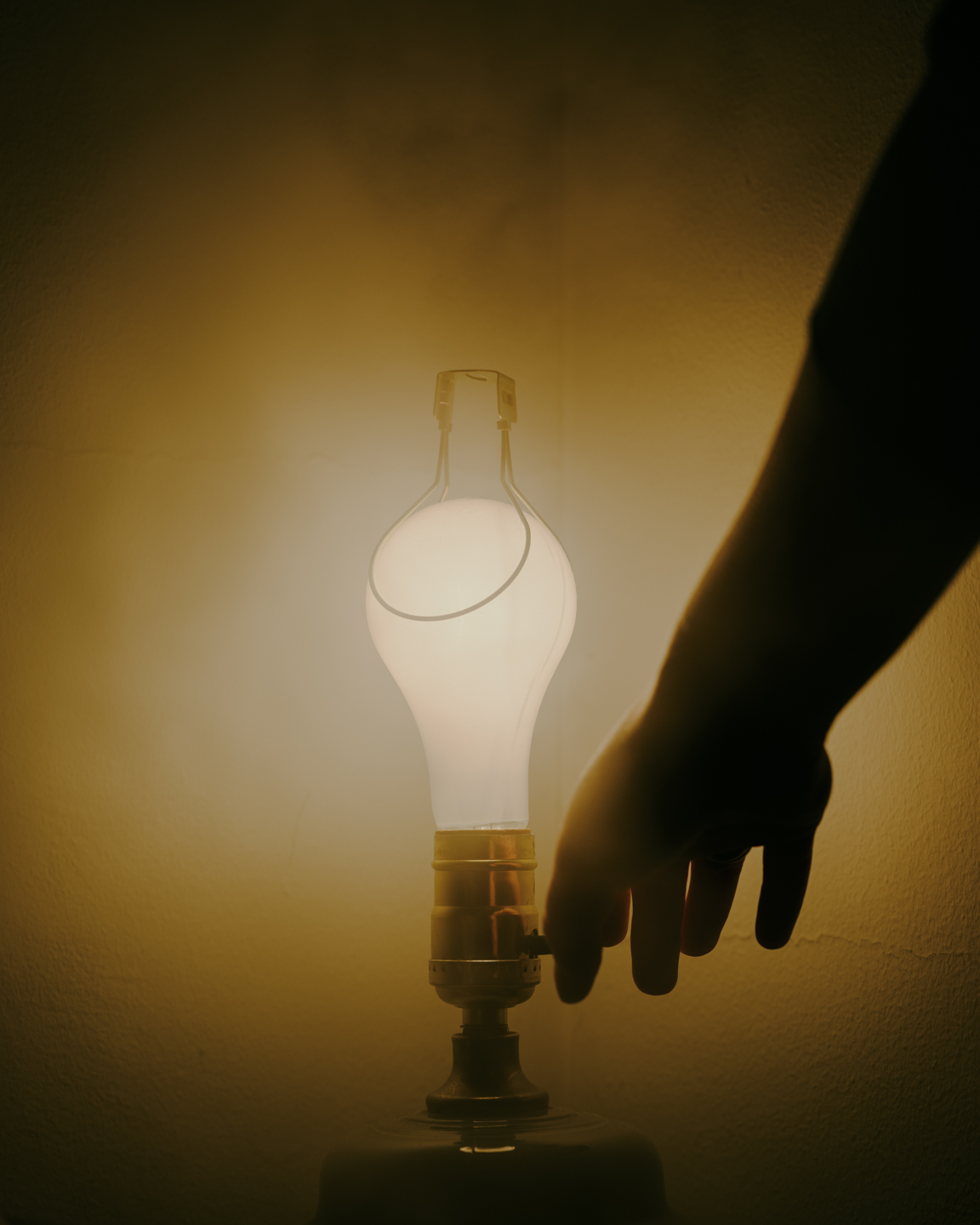 Lost Dog photograph 5