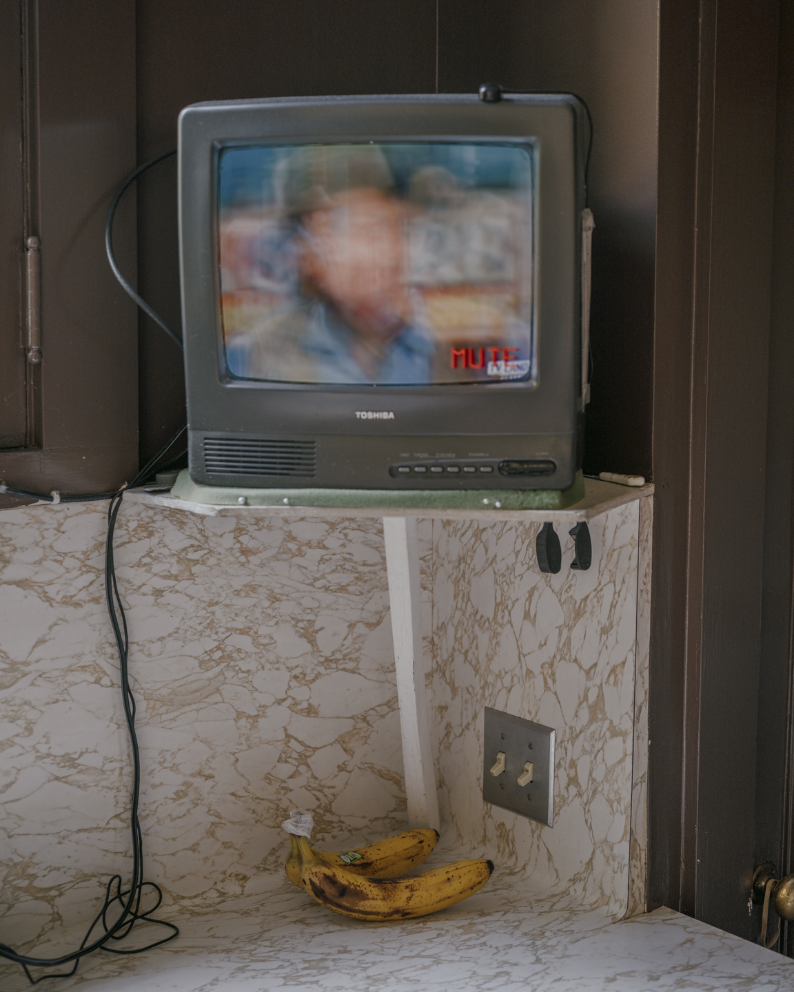 Lost Dog photograph 8