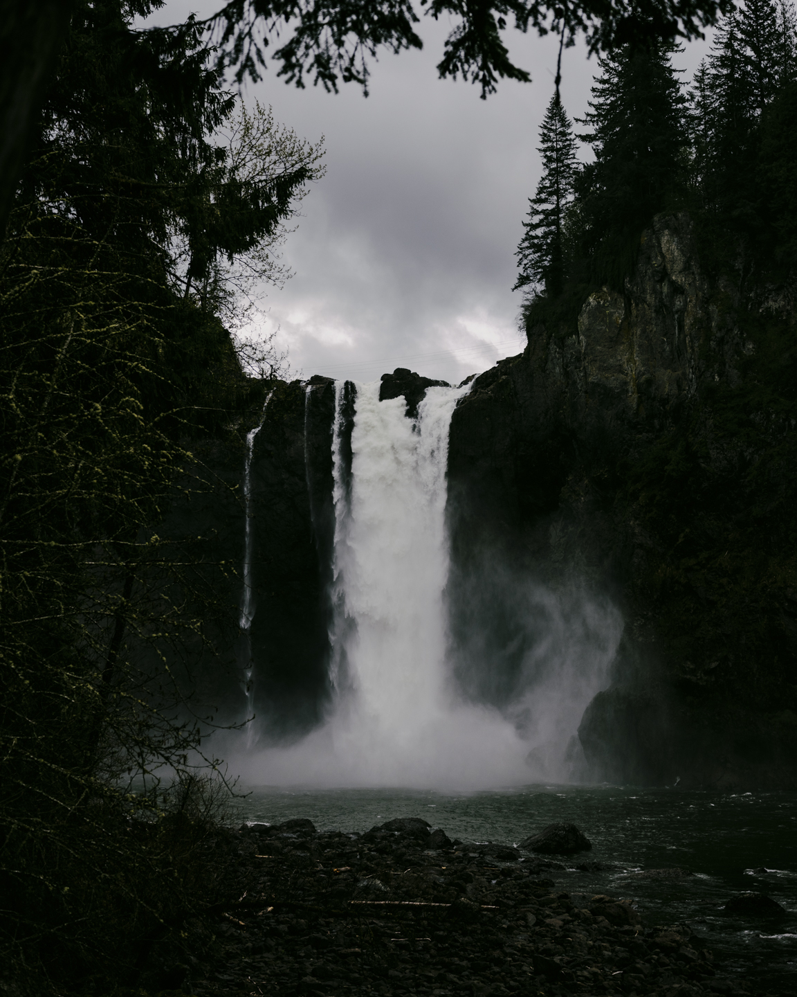 Lost Dog photograph 10