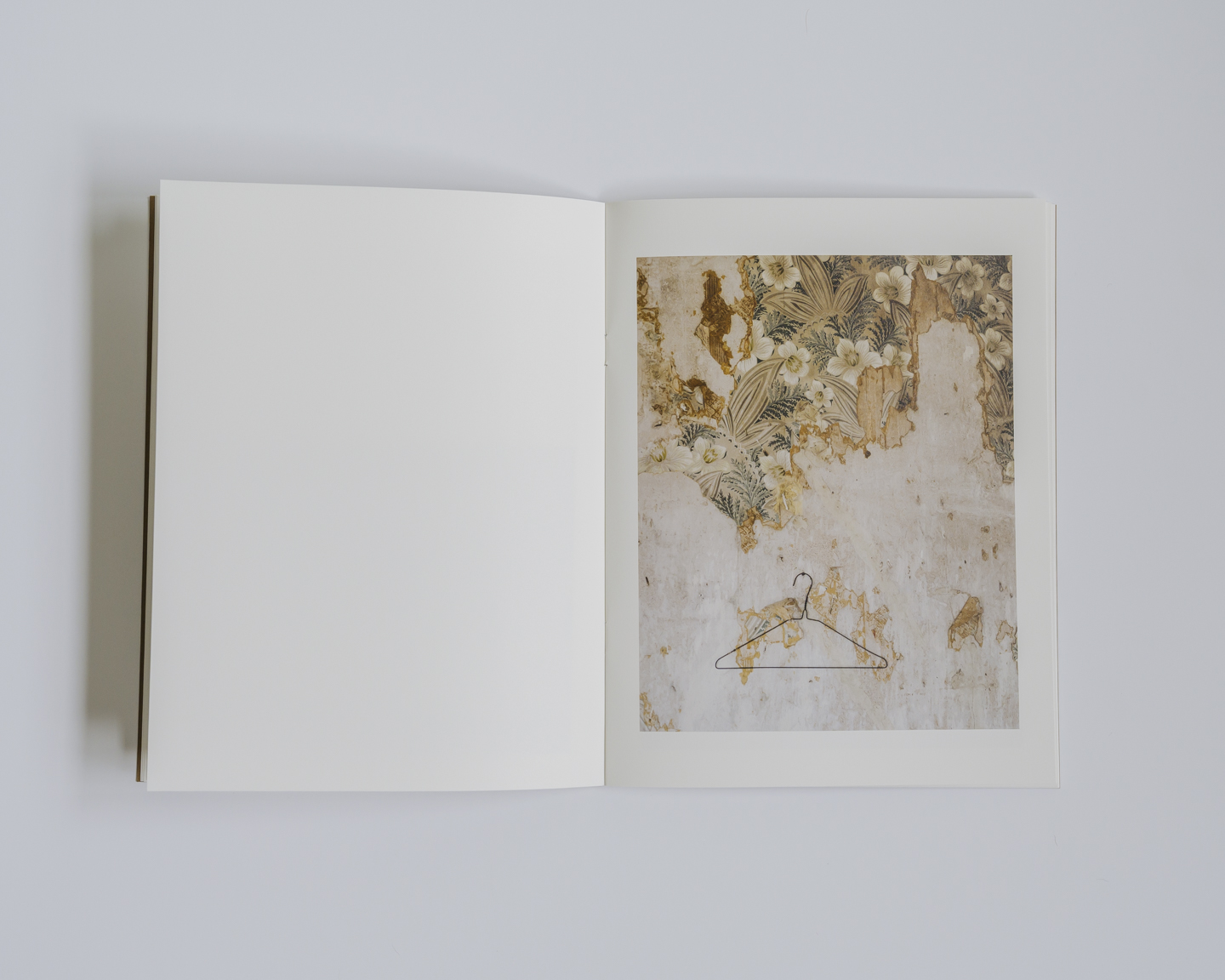 Lost Dog photograph 15