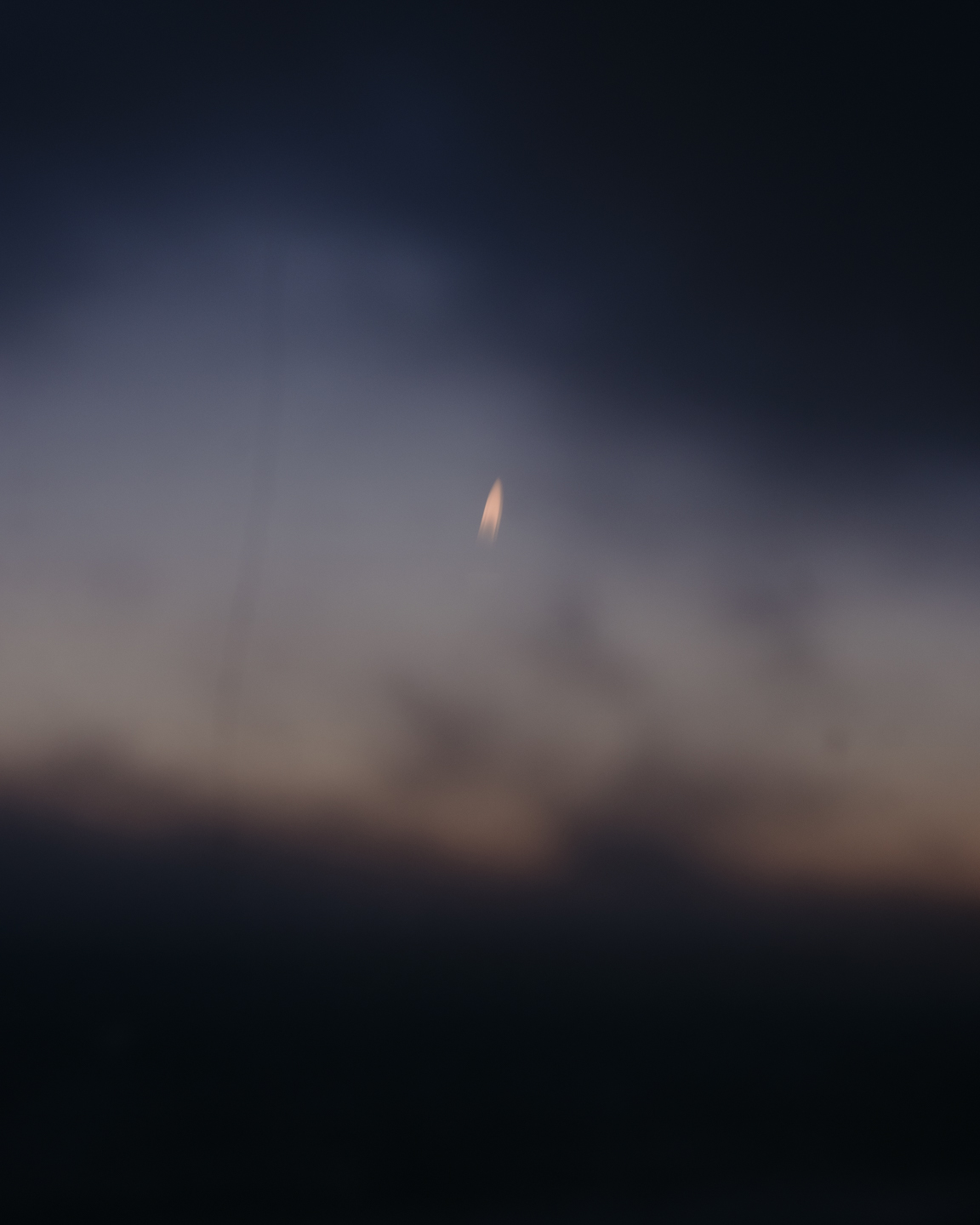 Lost Dog photograph 17