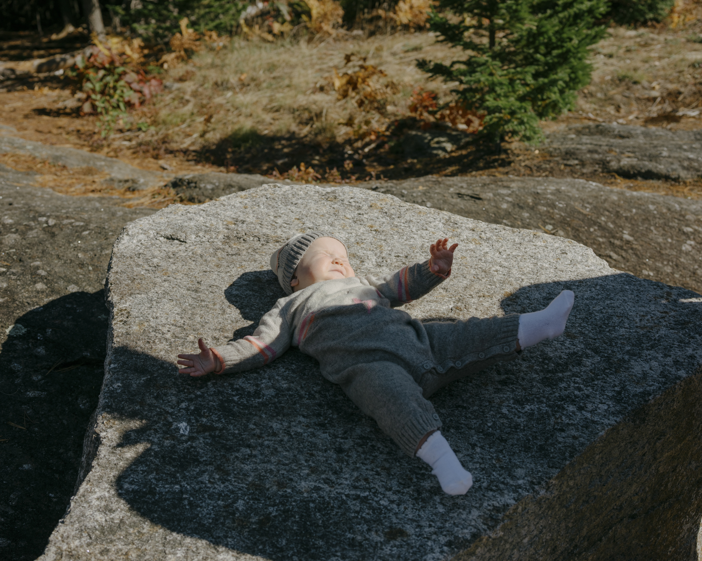 Lost Dog photograph 18