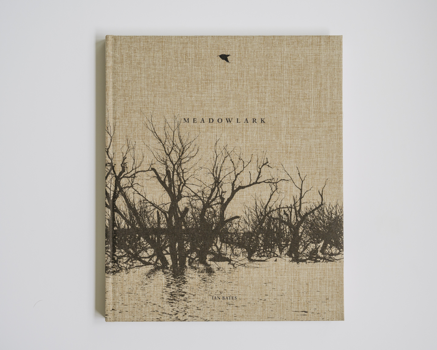 Meadowlark photograph 1