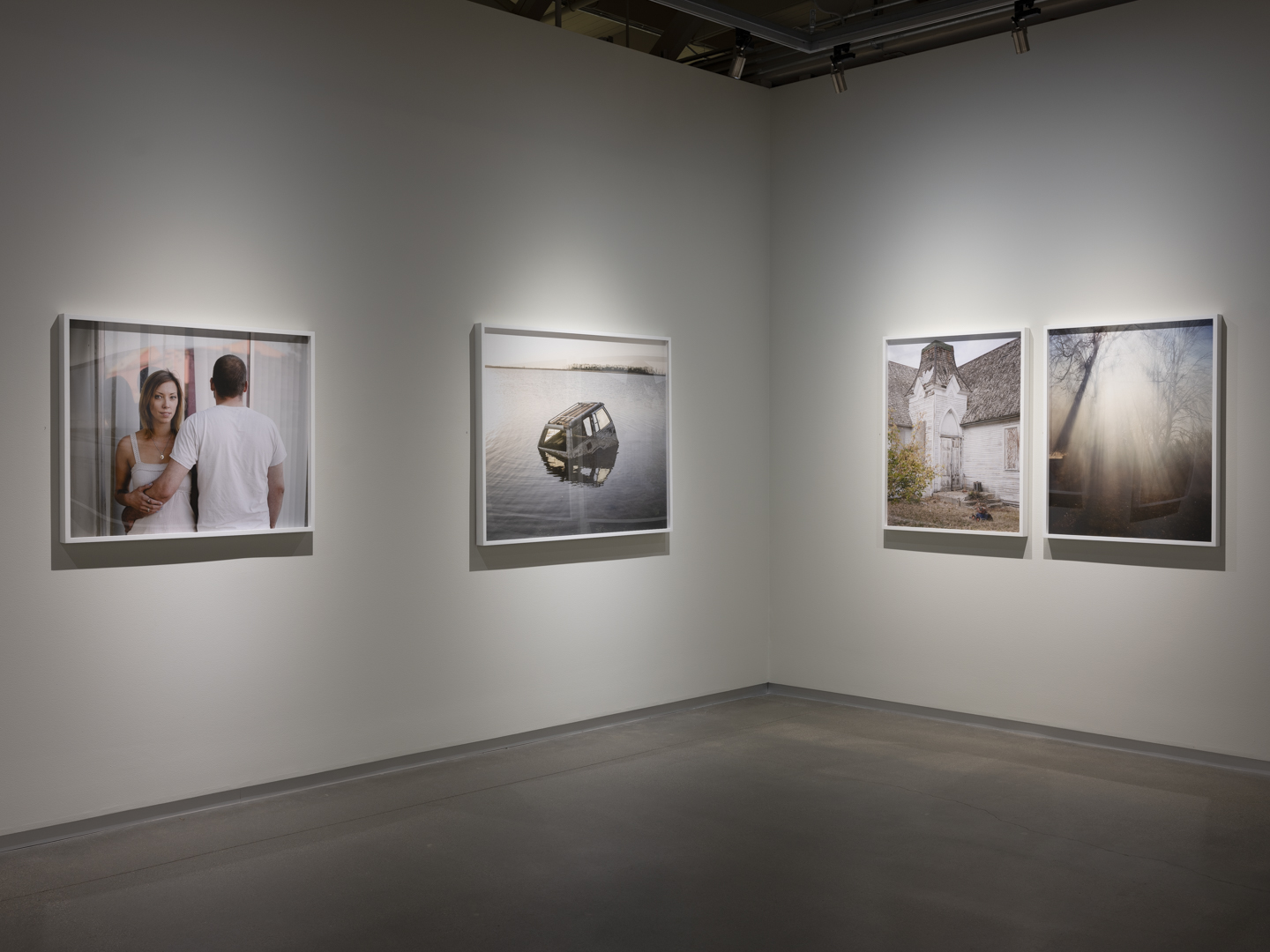 Meadowlark photograph 4